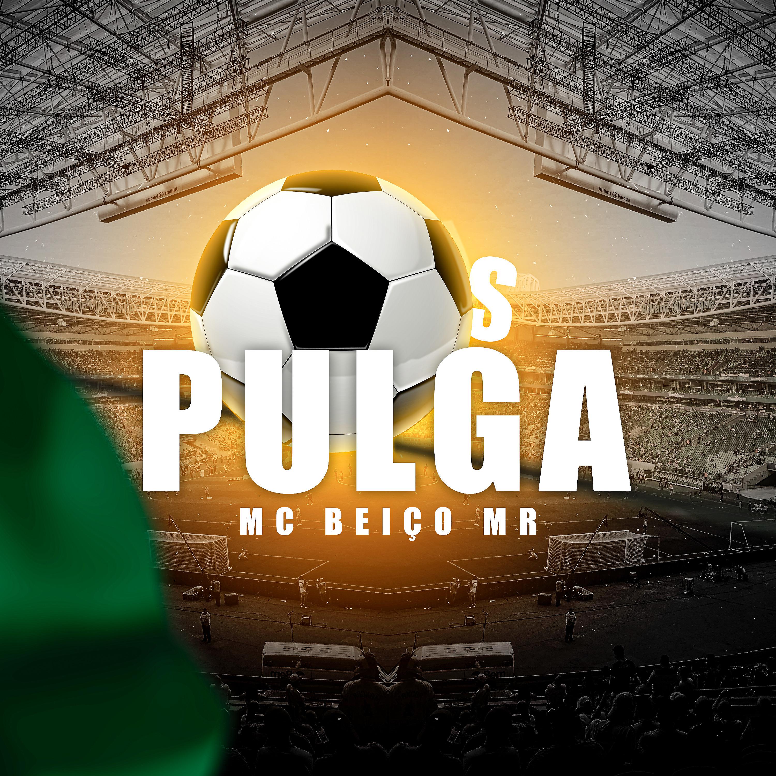 Постер альбома Os Pulga