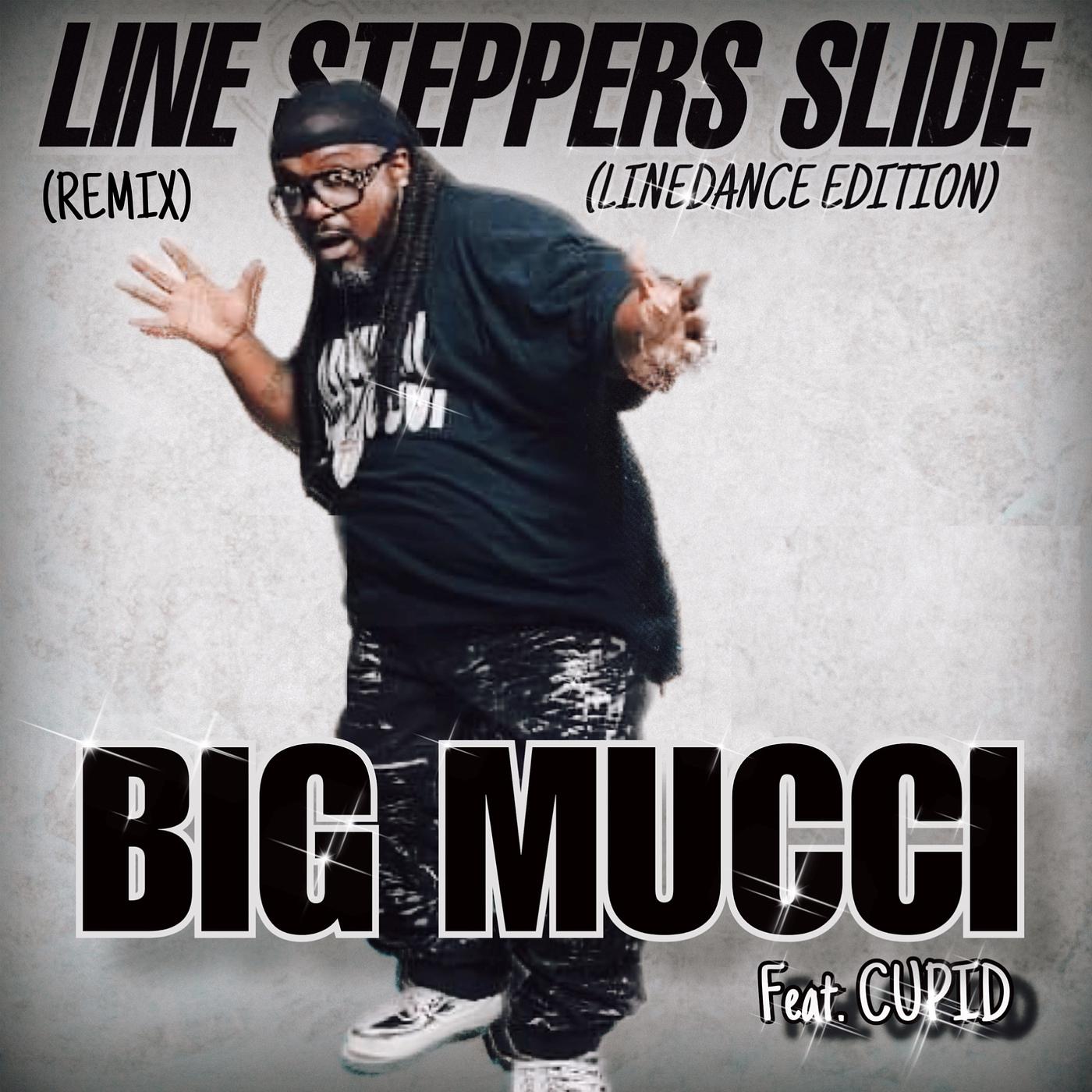 Постер альбома Line Steppers Slide (LineDance Edition) [Remix]