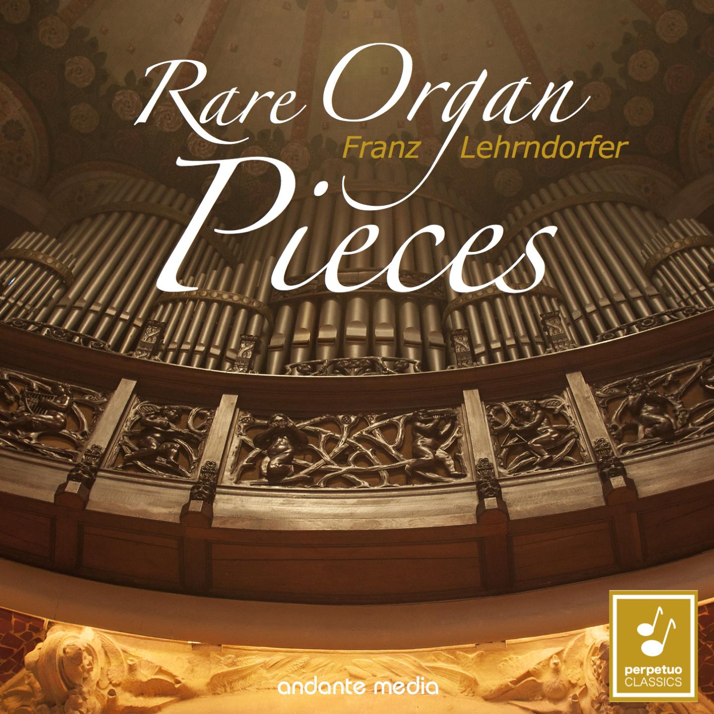 Постер альбома Rare Organ Pieces