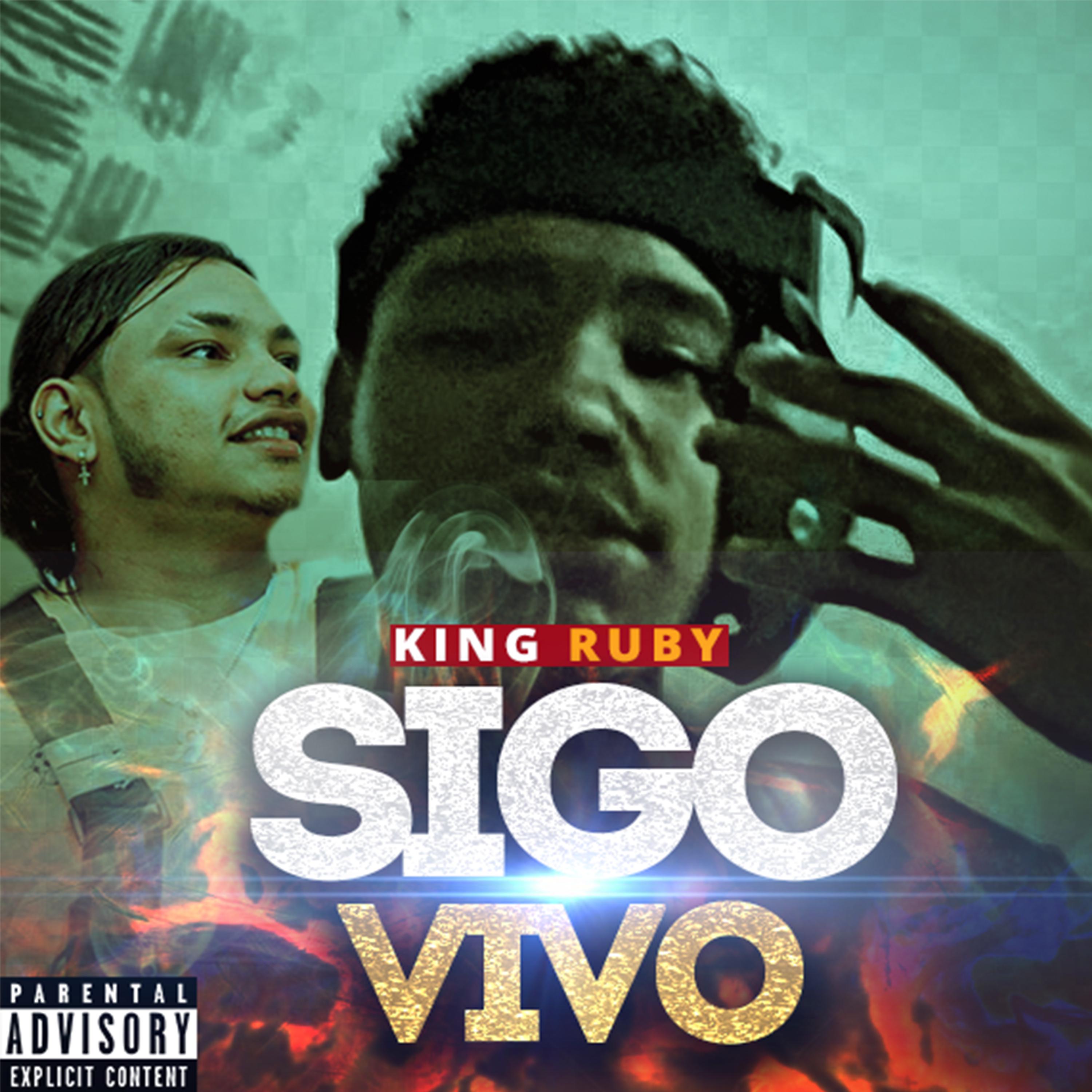 Постер альбома Sigo Vivo