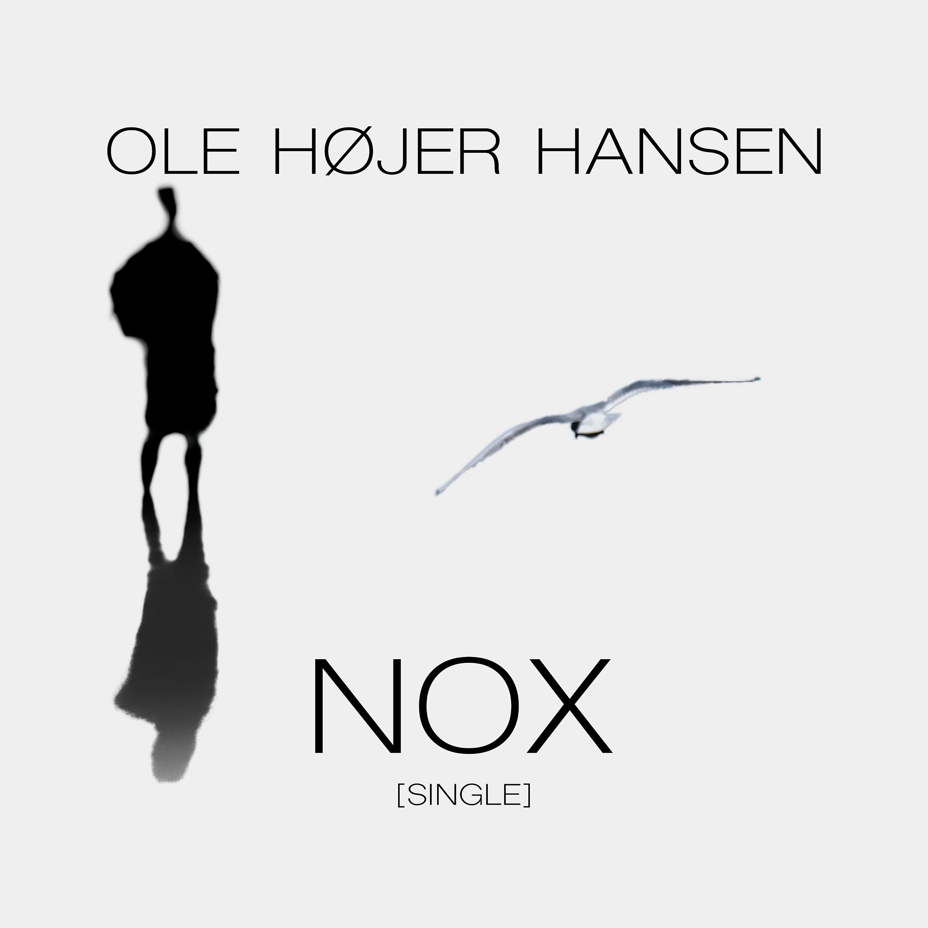 Постер альбома Nox