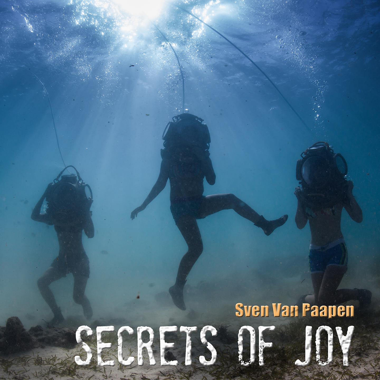 Постер альбома Secrets of Joy