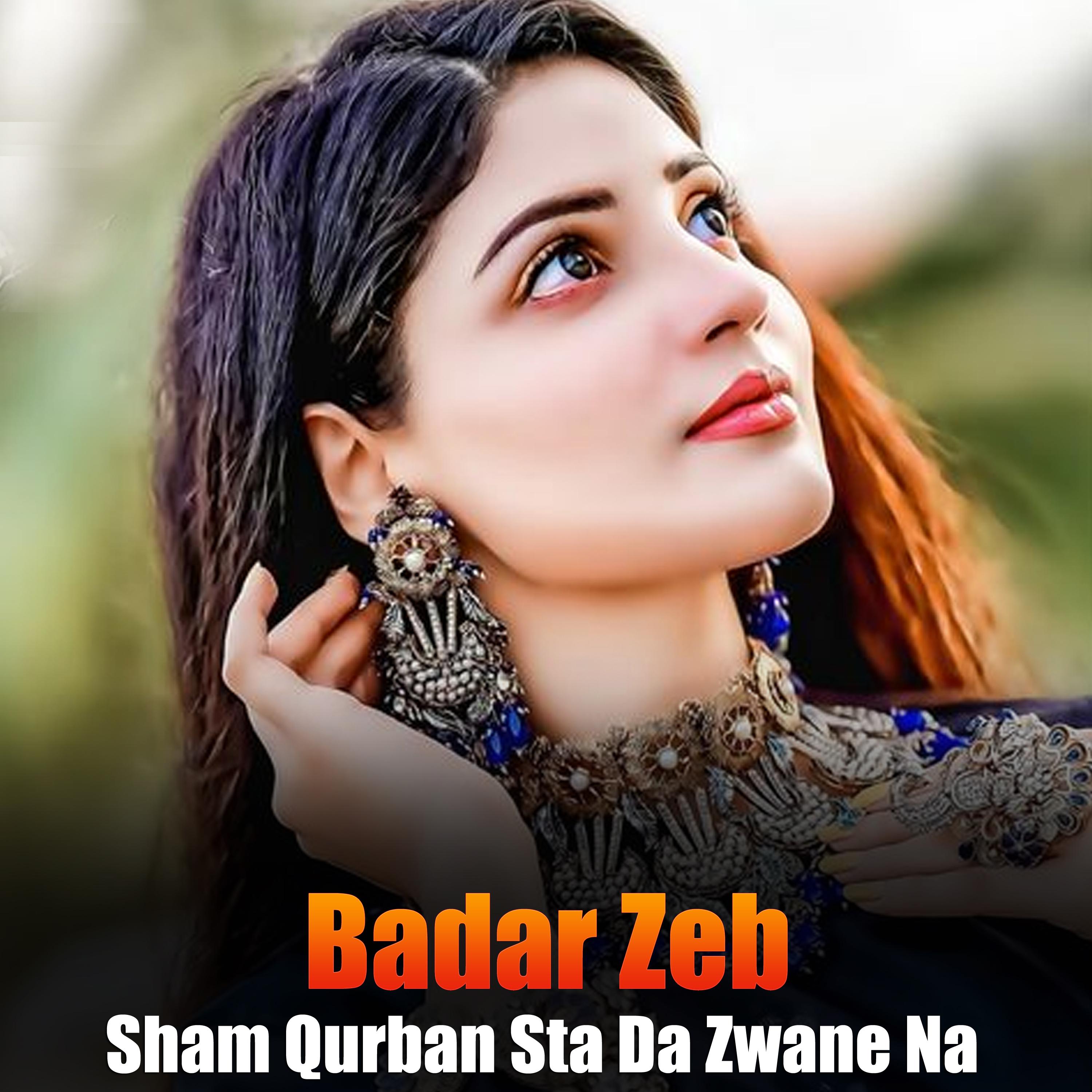 Постер альбома Sham Qurban Sta Da Zwane Na
