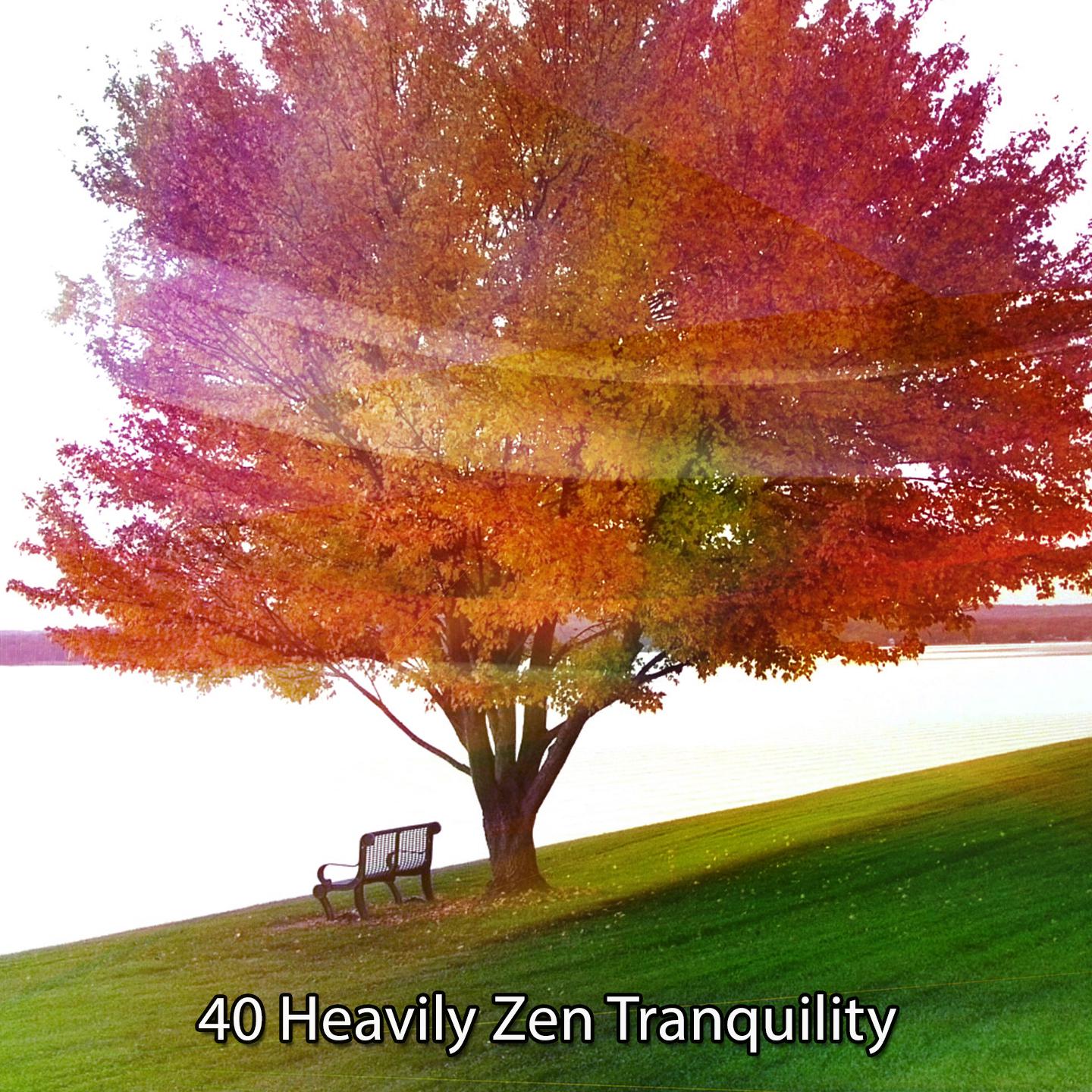 Постер альбома 40 Heavily Zen Tranquility