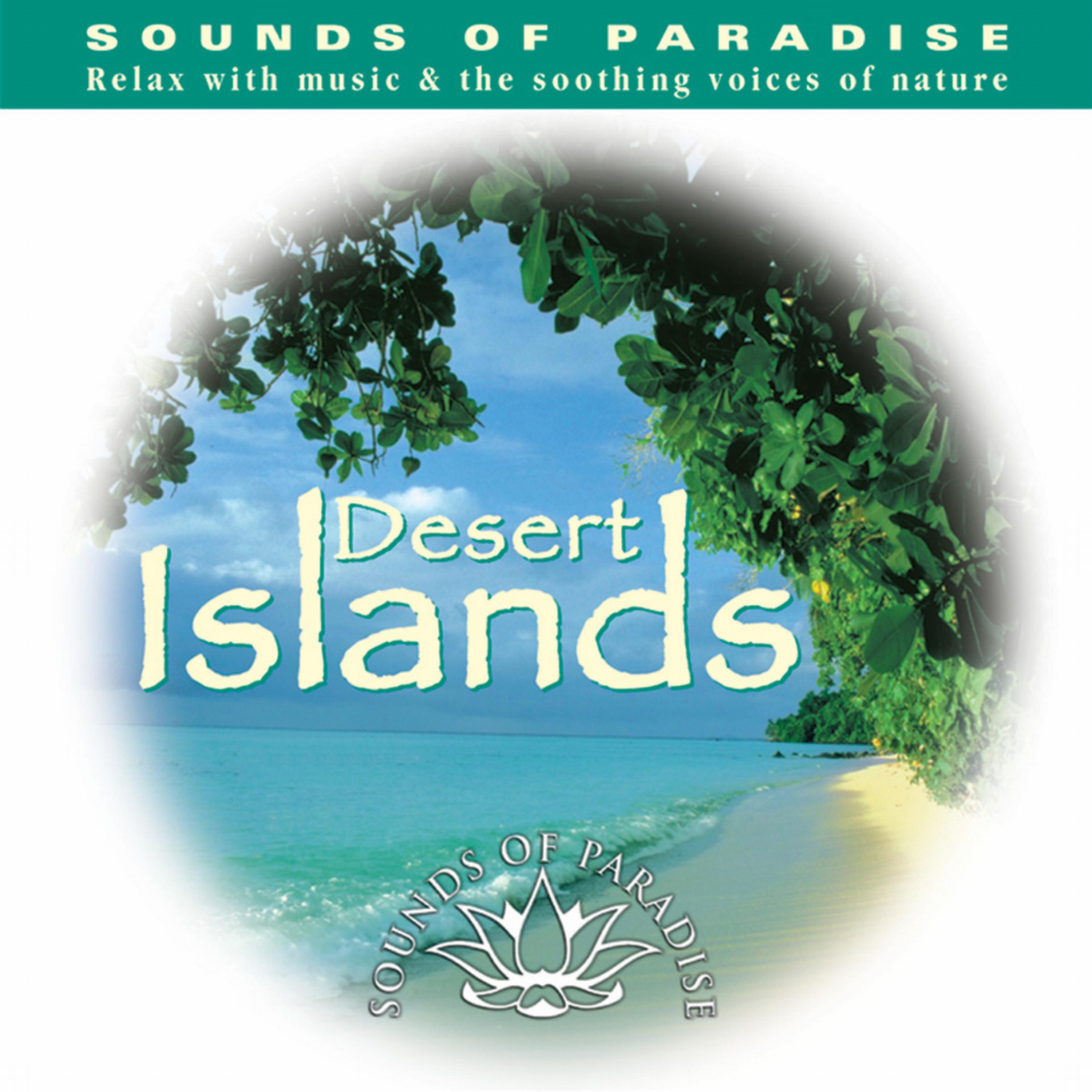 Постер альбома Desert Islands