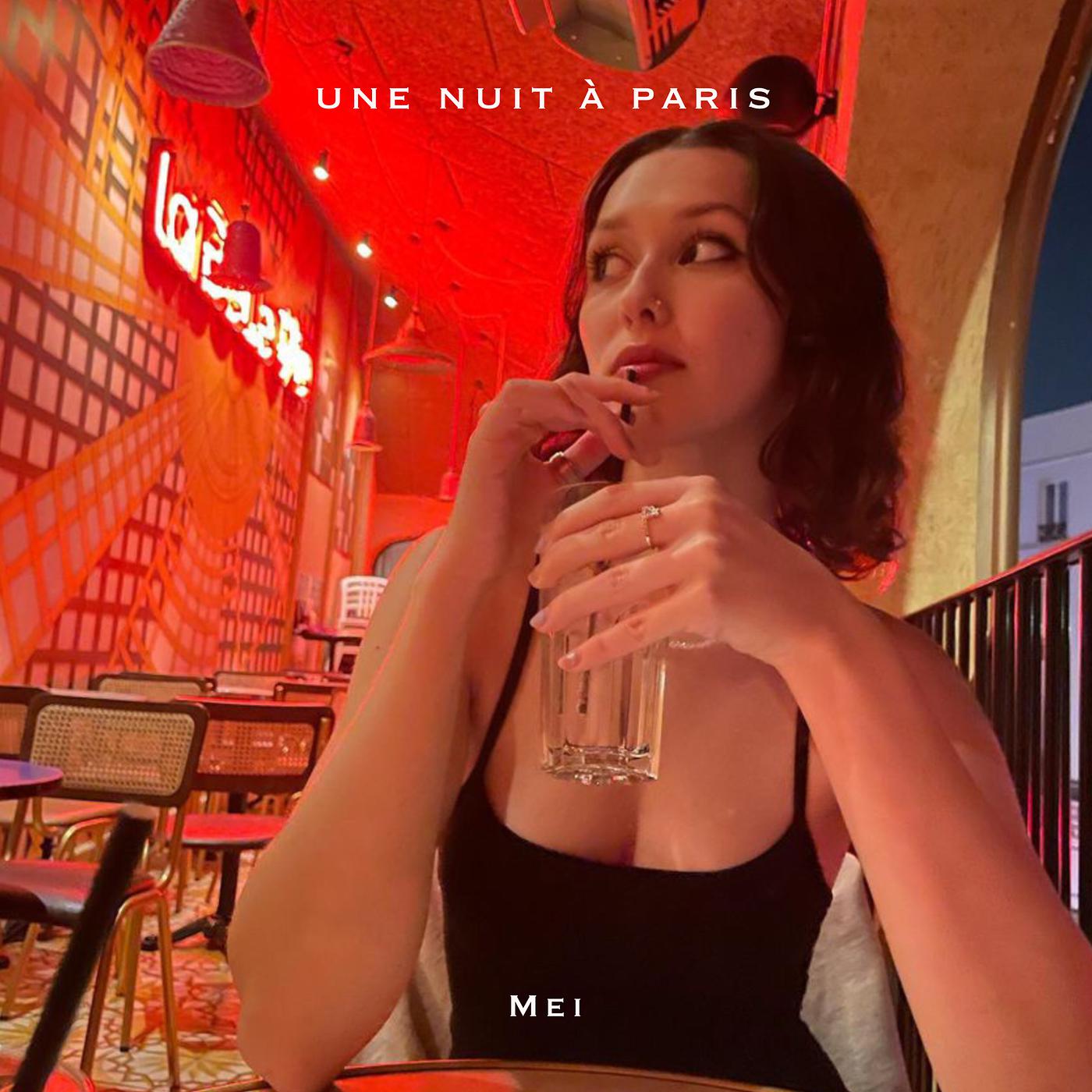 Постер альбома Une Nuit À Paris