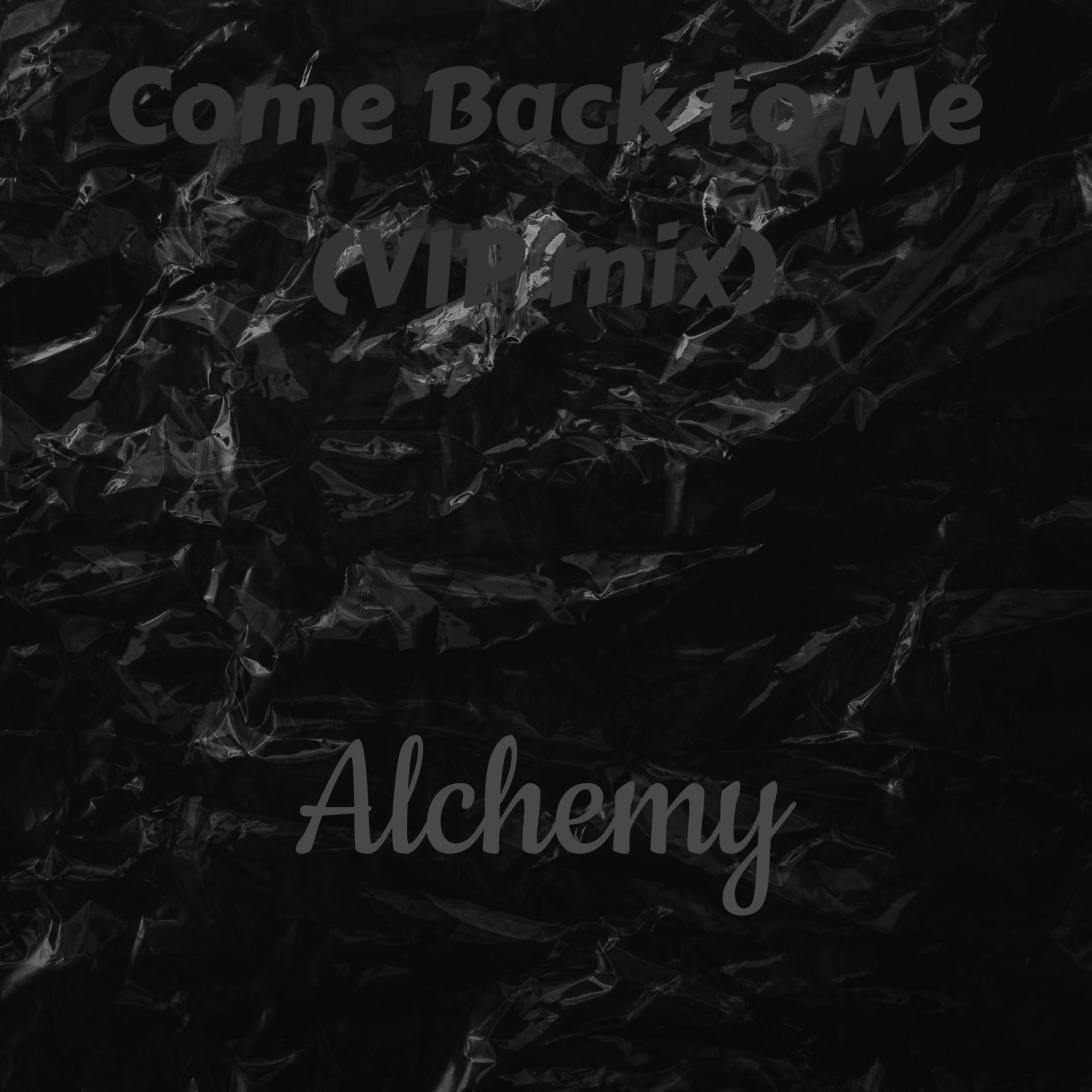 Постер альбома Come Back to Me (VIP Mix)