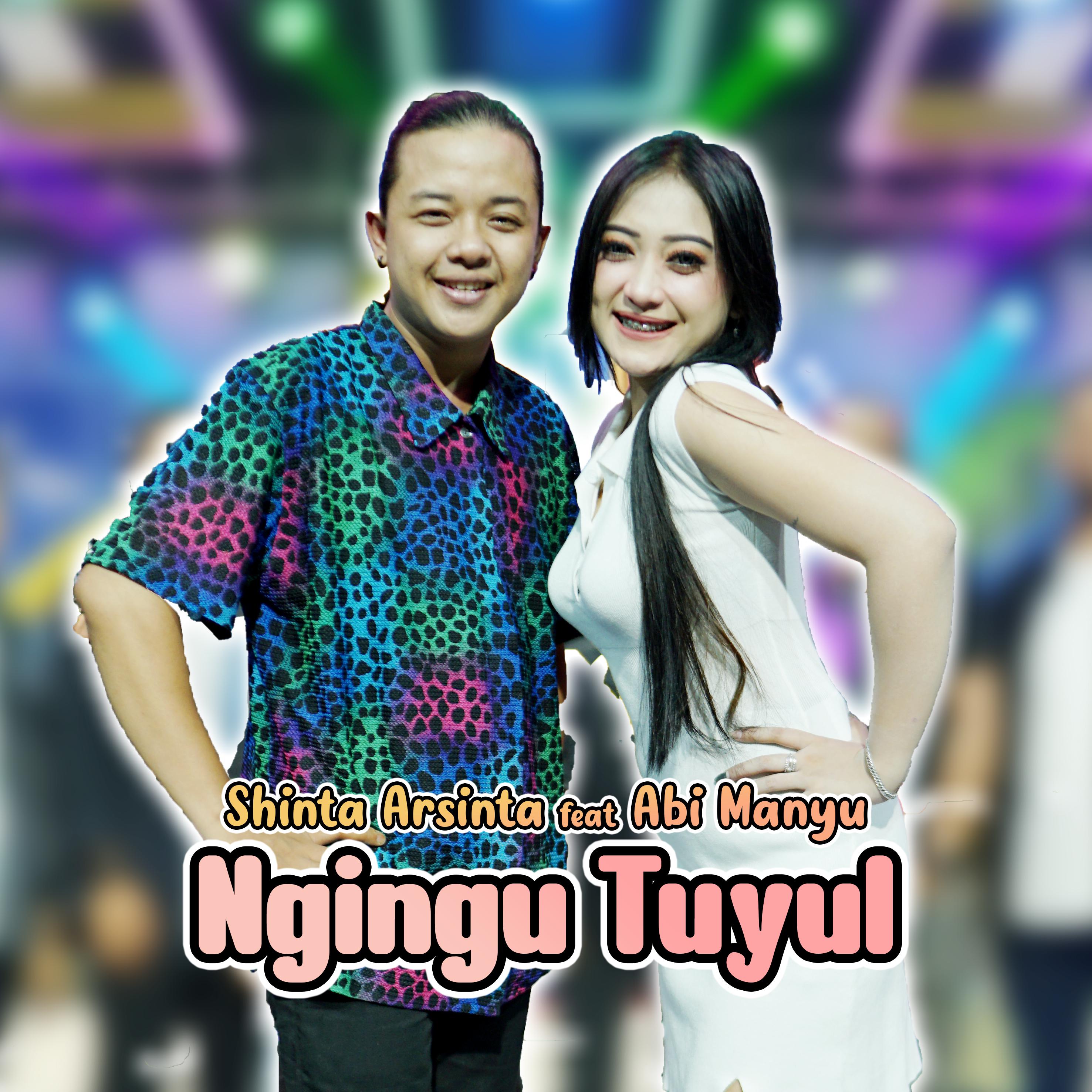 Постер альбома Ngingu Tuyul