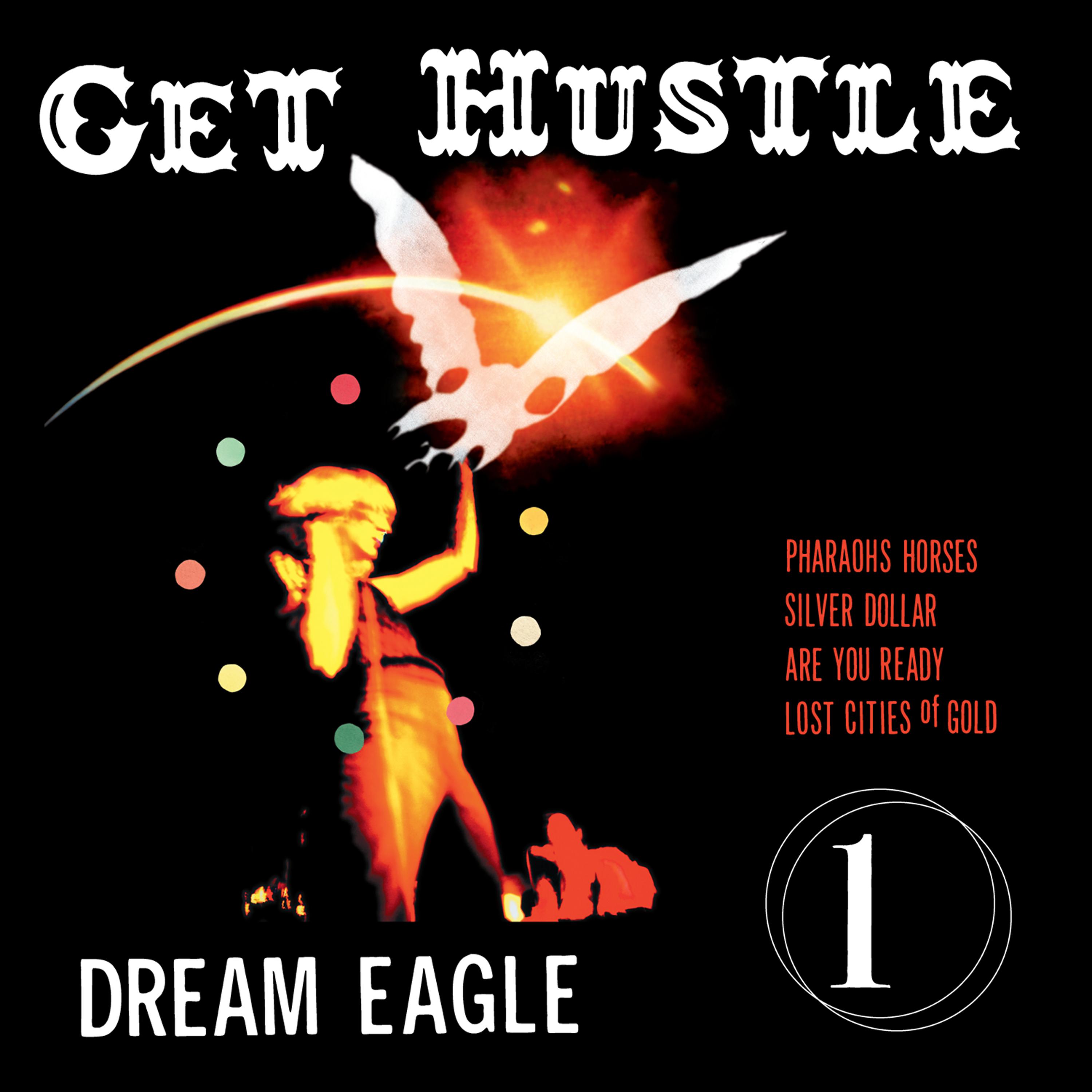 Постер альбома Dream Eagle