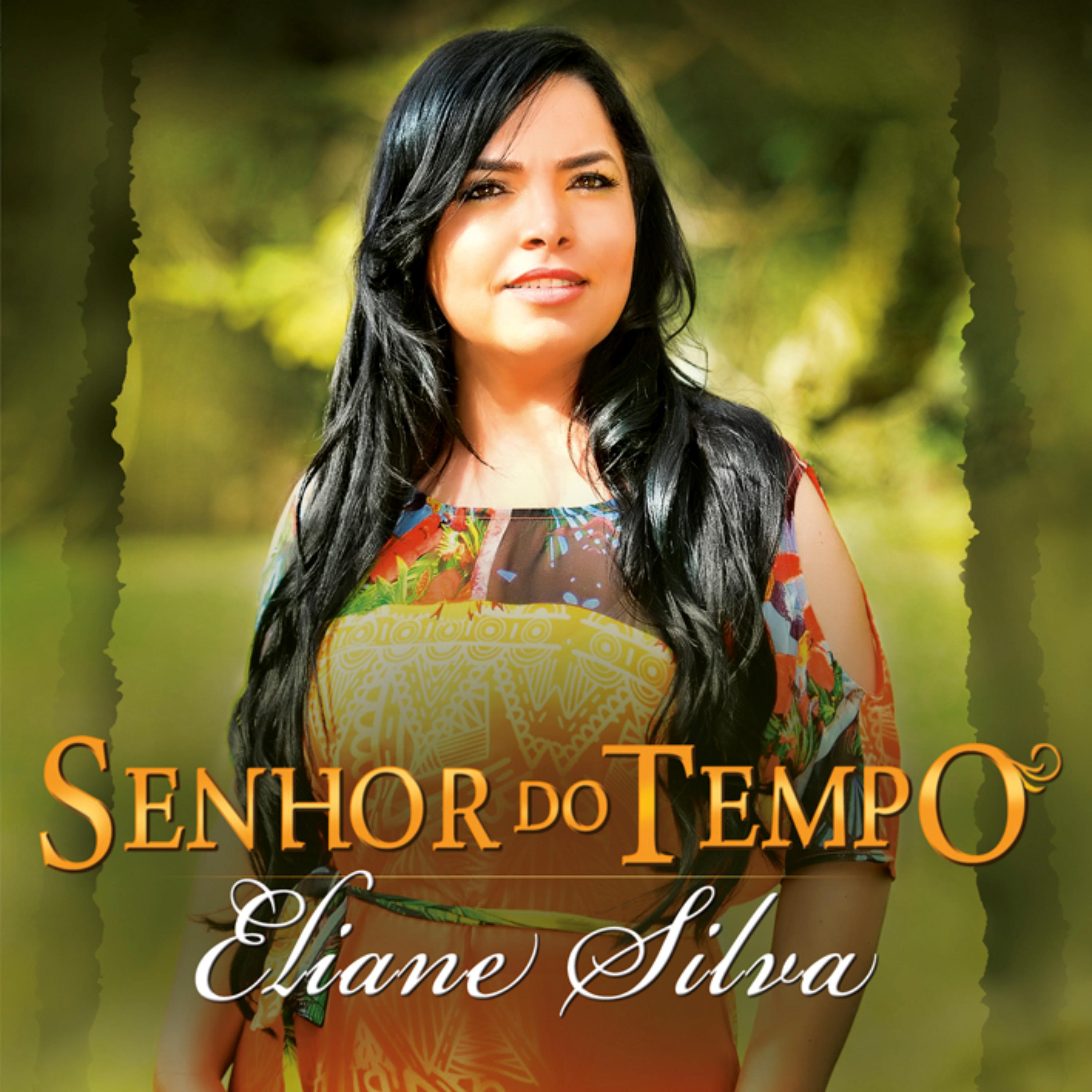Постер альбома Senhor do Tempo