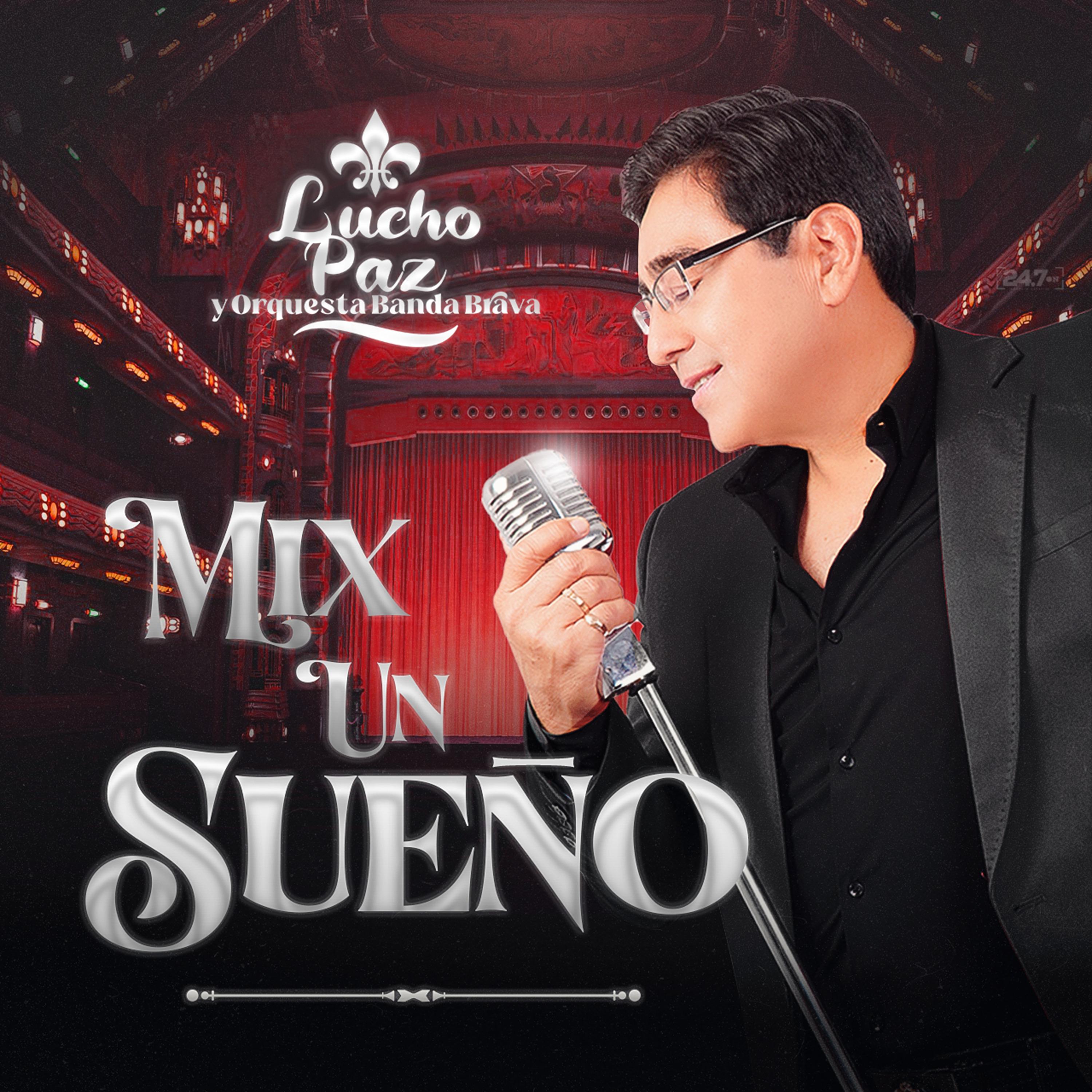 Постер альбома Mix un Sueño (Un Sueño, Otra Noche Sin Ti, Que Levante la Mano)