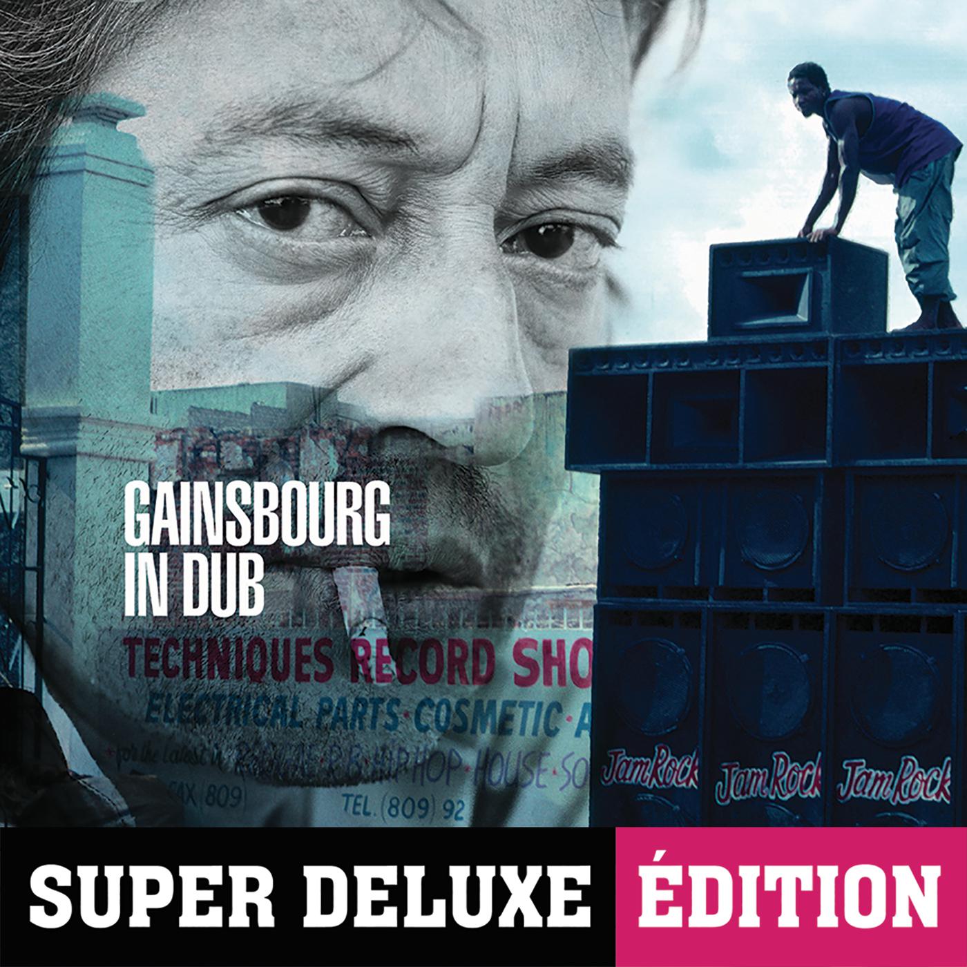Постер альбома Gainsbourg In Dub