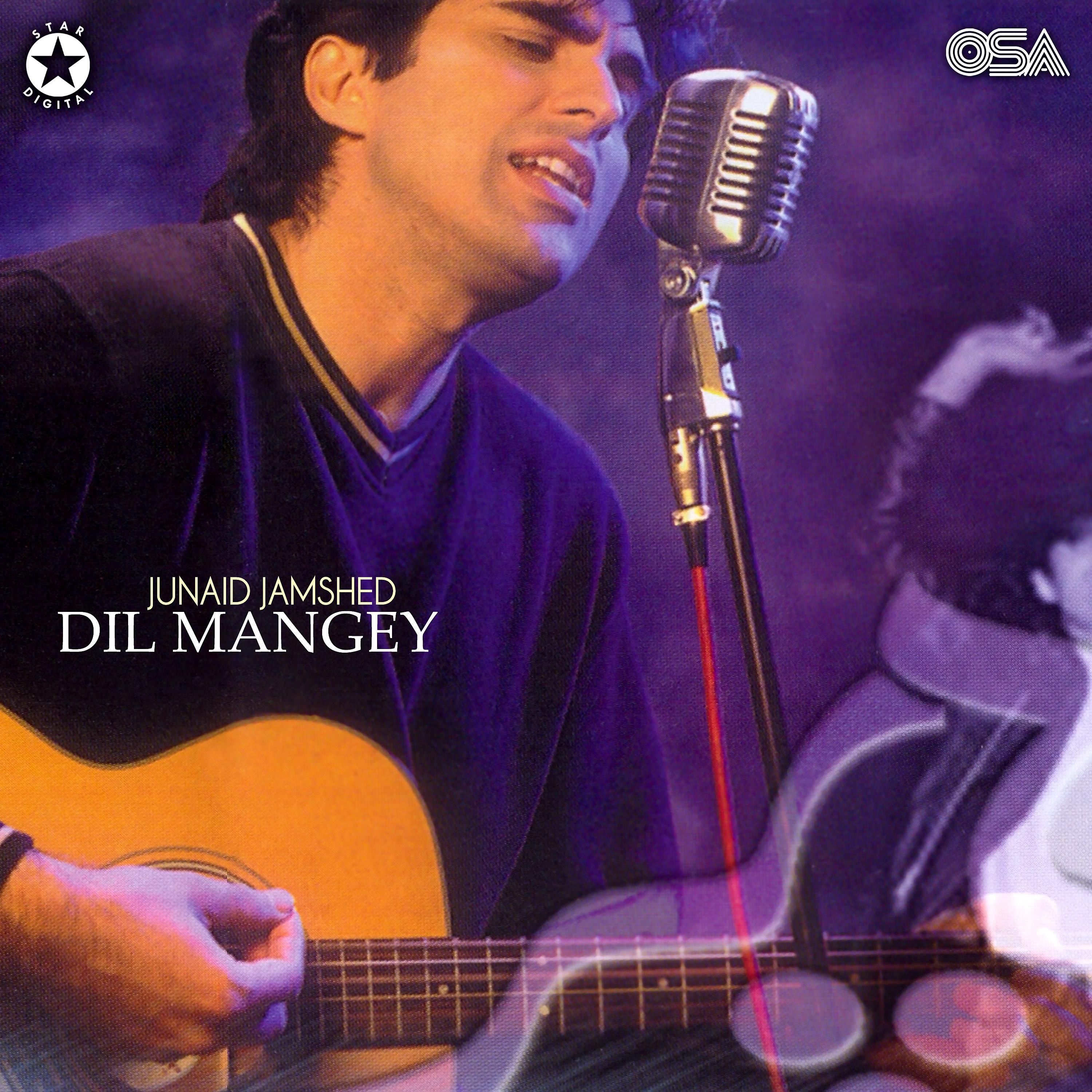 Постер альбома Dil Mangey
