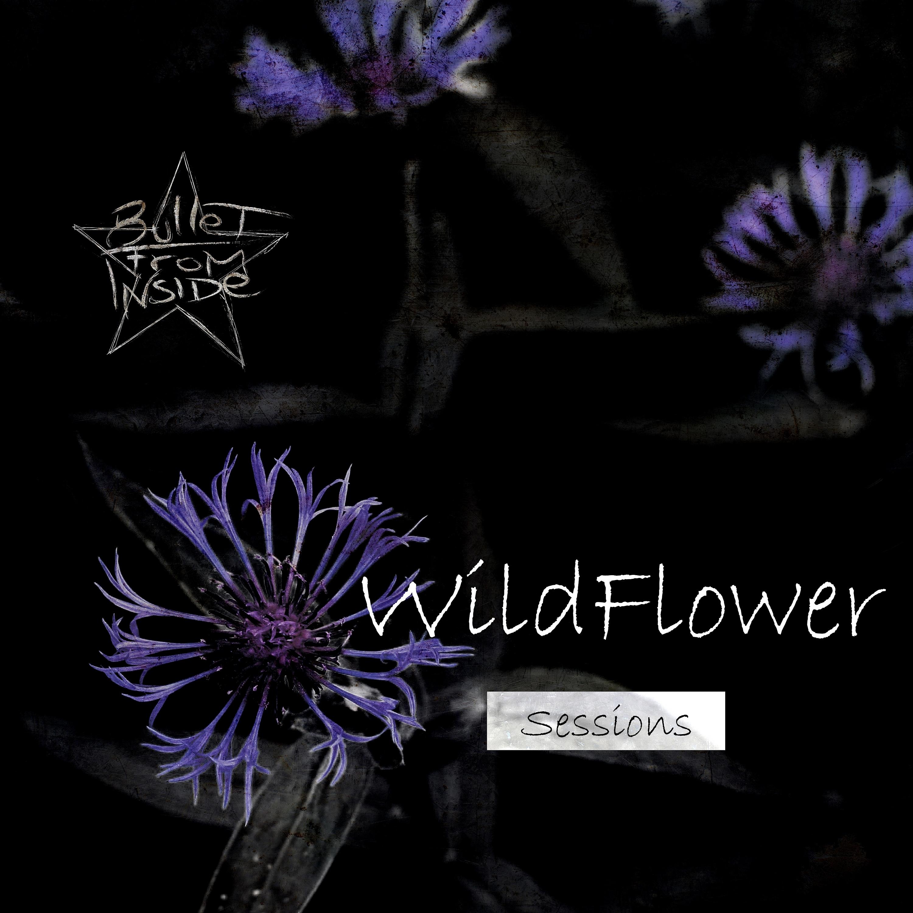 Постер альбома Wildflower Sessions