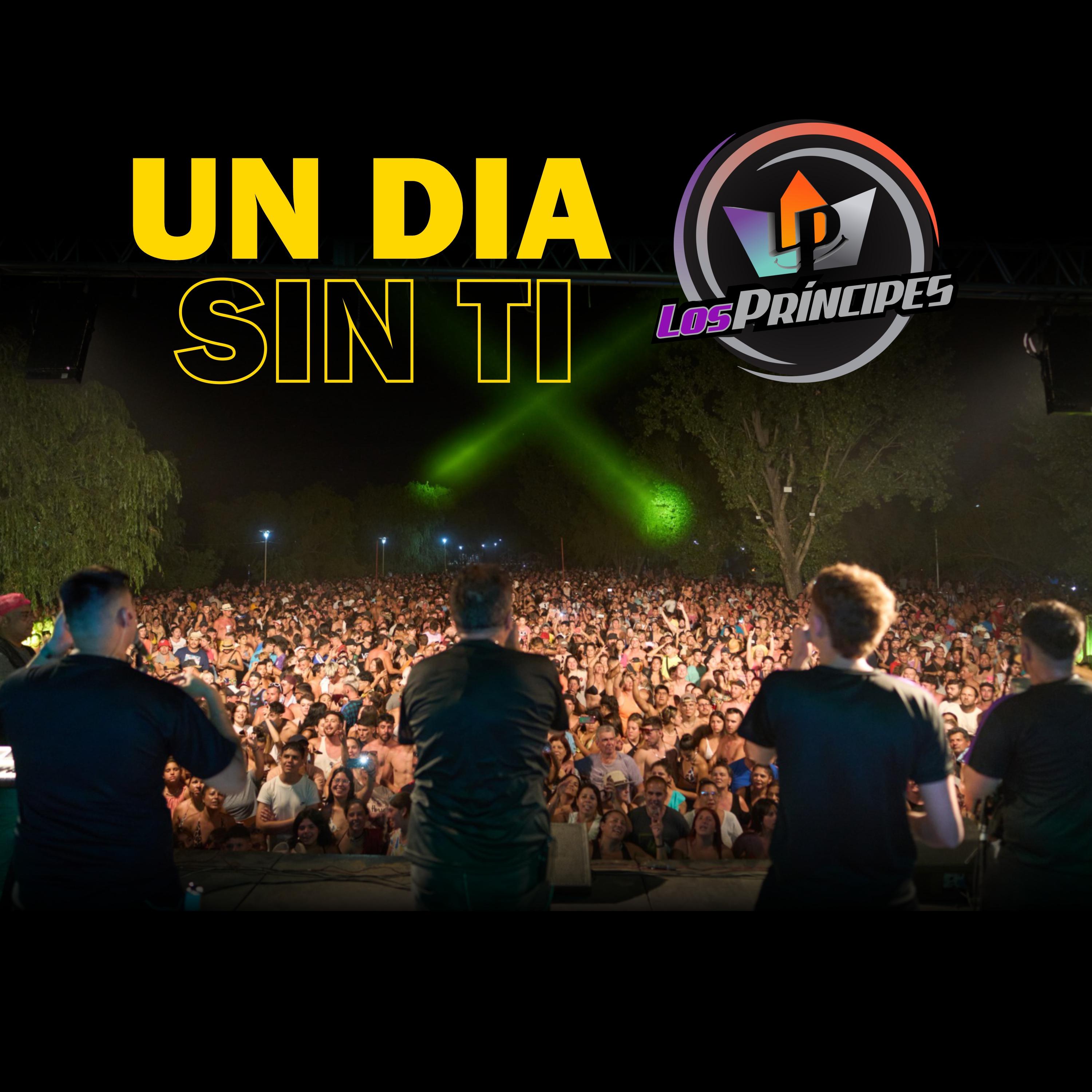 Постер альбома Un Día Sin Ti
