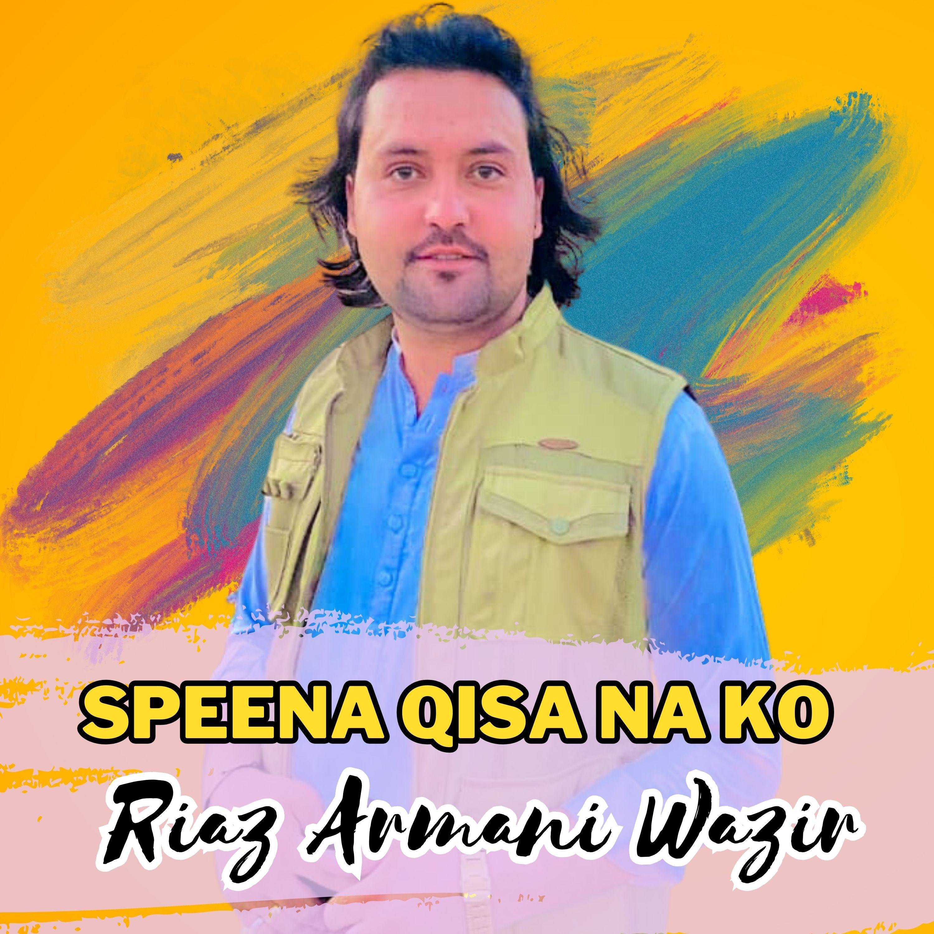 Постер альбома Speena Qisa Na Ko