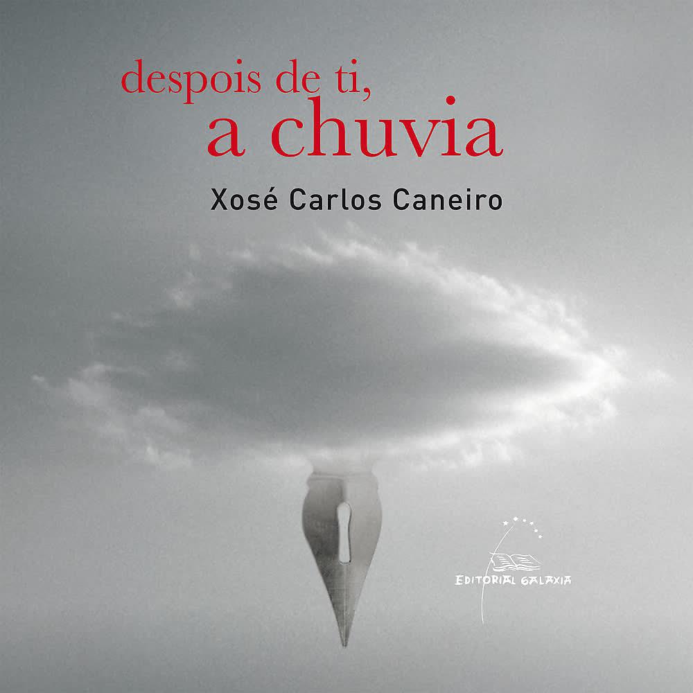 Постер альбома Despois de Ti, a Chuvia