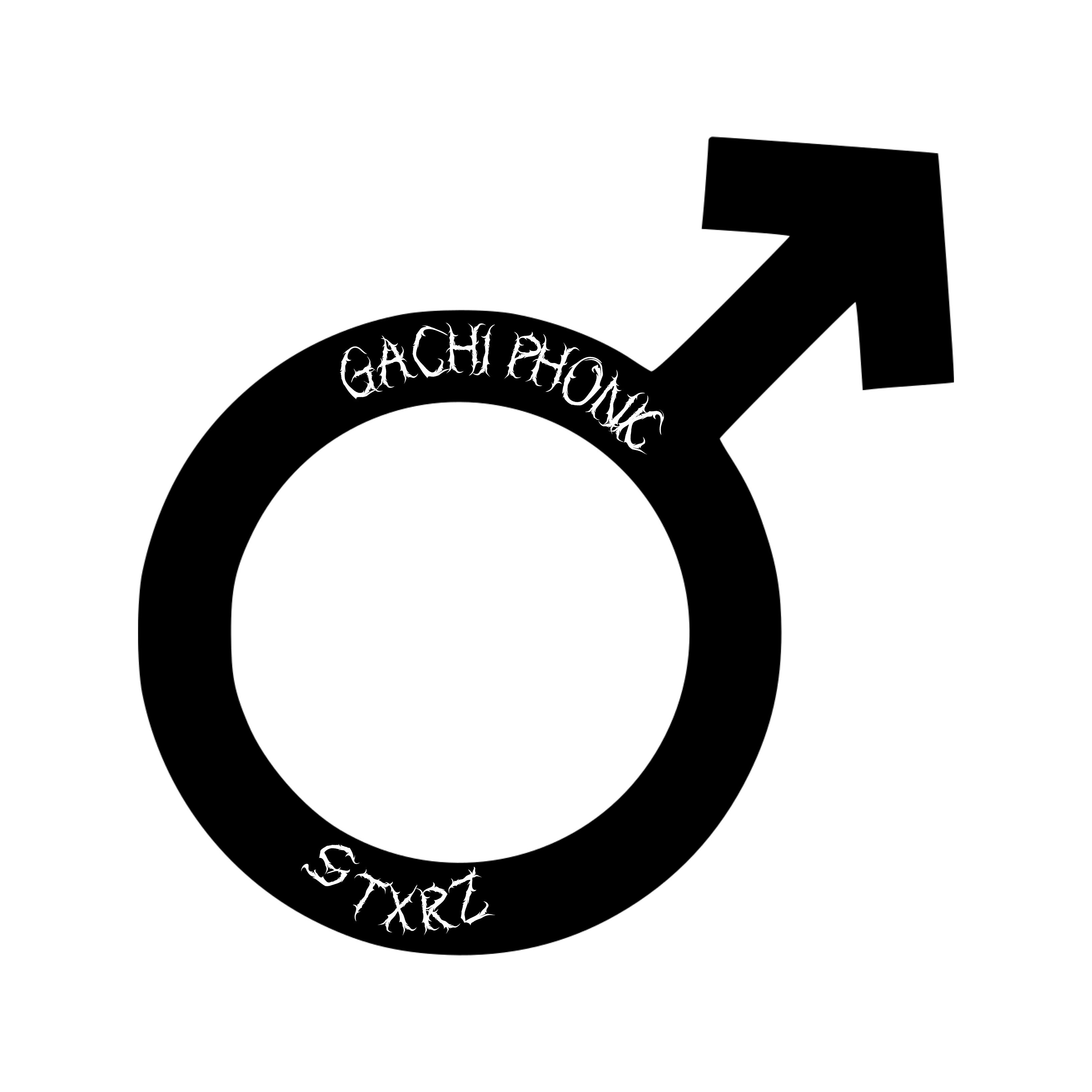 Постер альбома Gachi Phonk