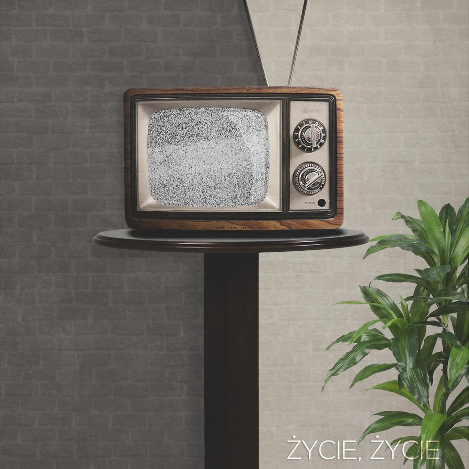 Постер альбома Zycie, zycie