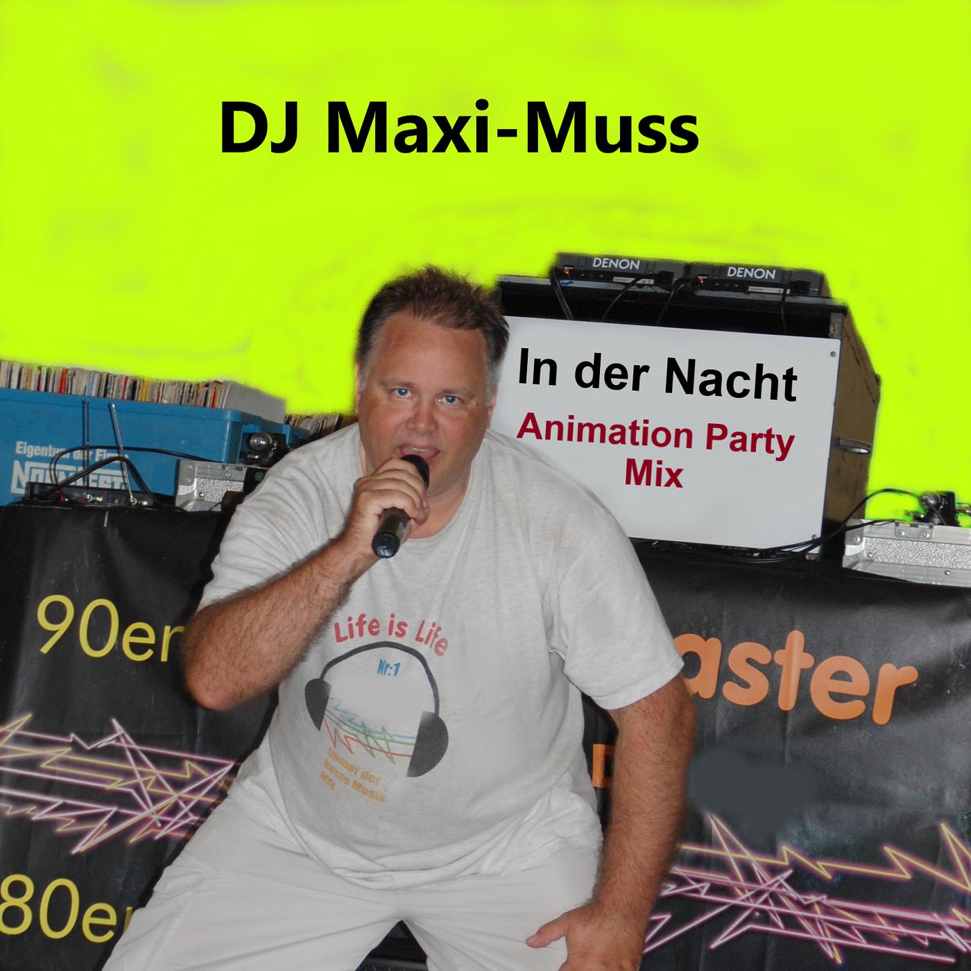 Постер альбома In Der Nacht (Animation Party Mix)