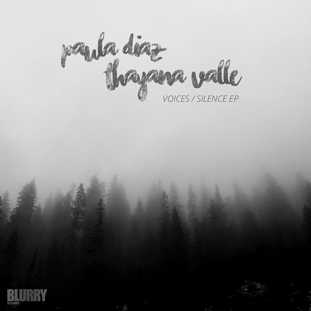 Постер альбома Voices / Silence EP