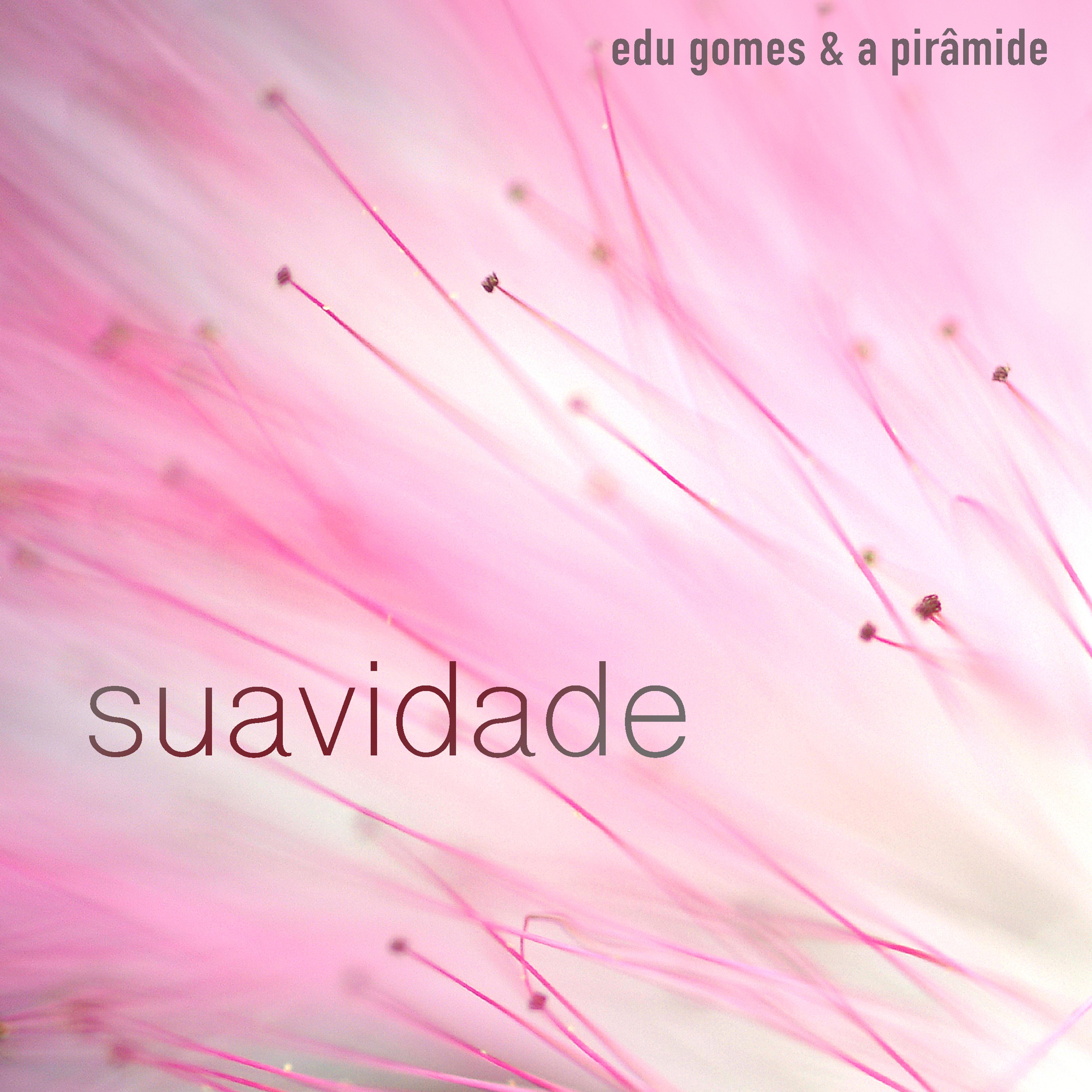 Постер альбома Suavidade