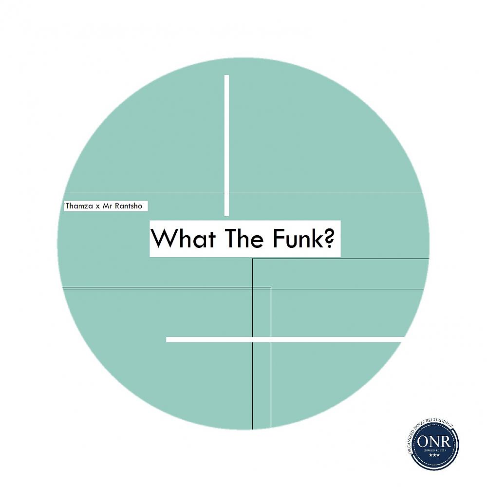 Постер альбома What The Funk?