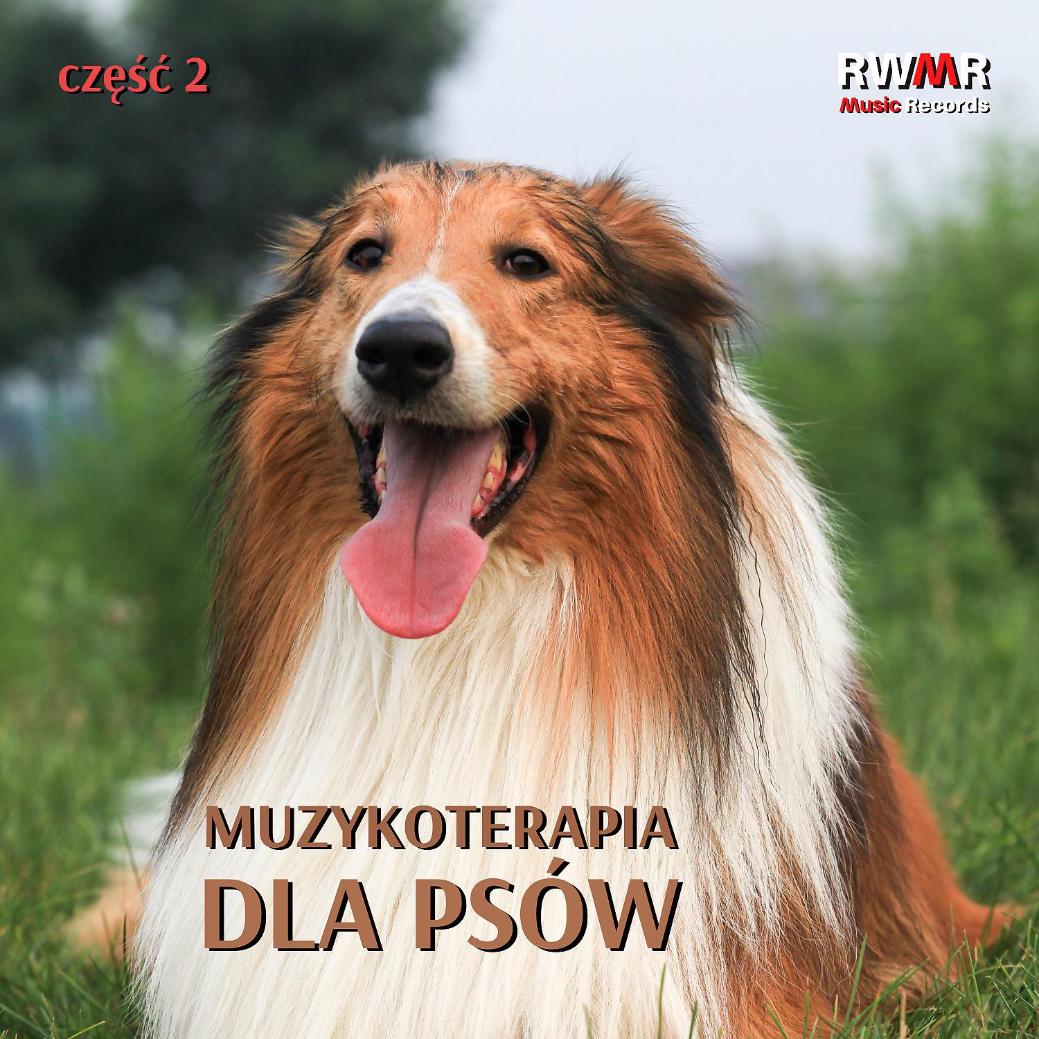 Постер альбома Muzykoterapia dla psow 2 – Kojace dzwieki dla uszu psa, relaksujace tlo dla zwierzat samych w domu, spokojne szczeniaki