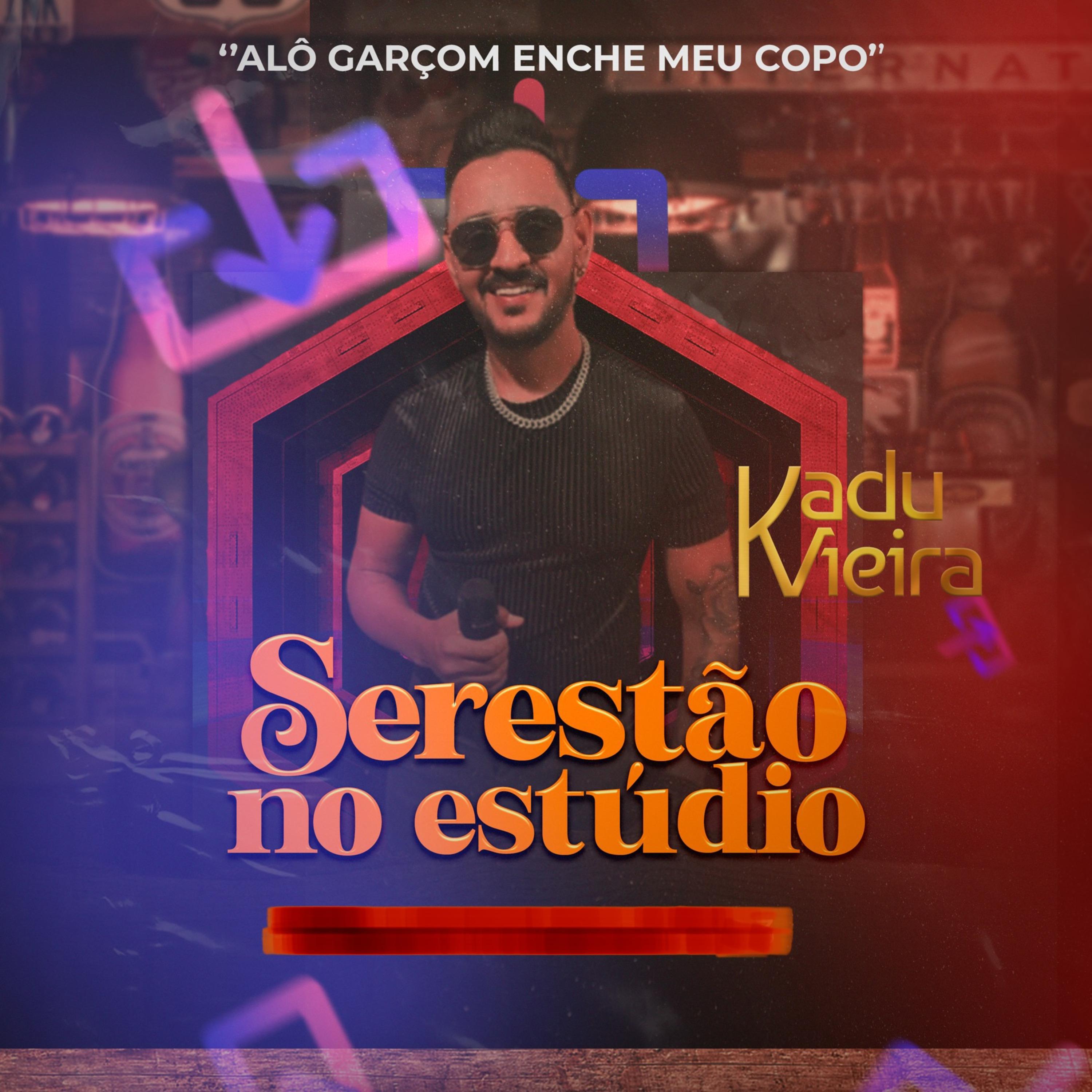 Постер альбома Serestão no Estúdio 2.0
