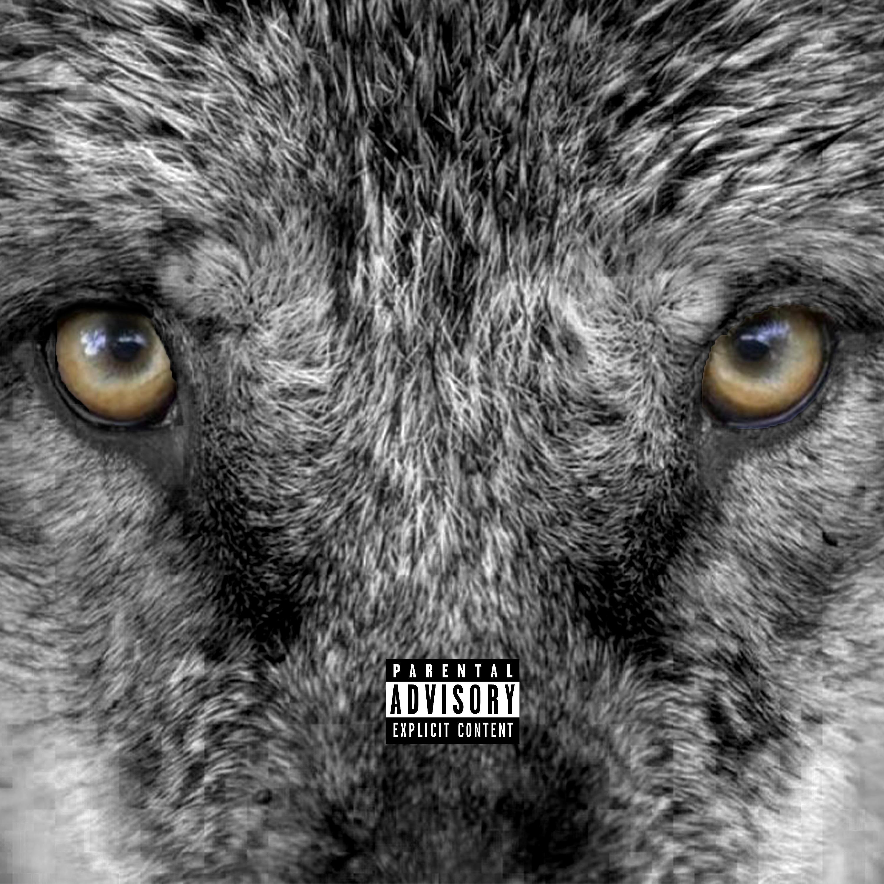 Постер альбома Wolves 2