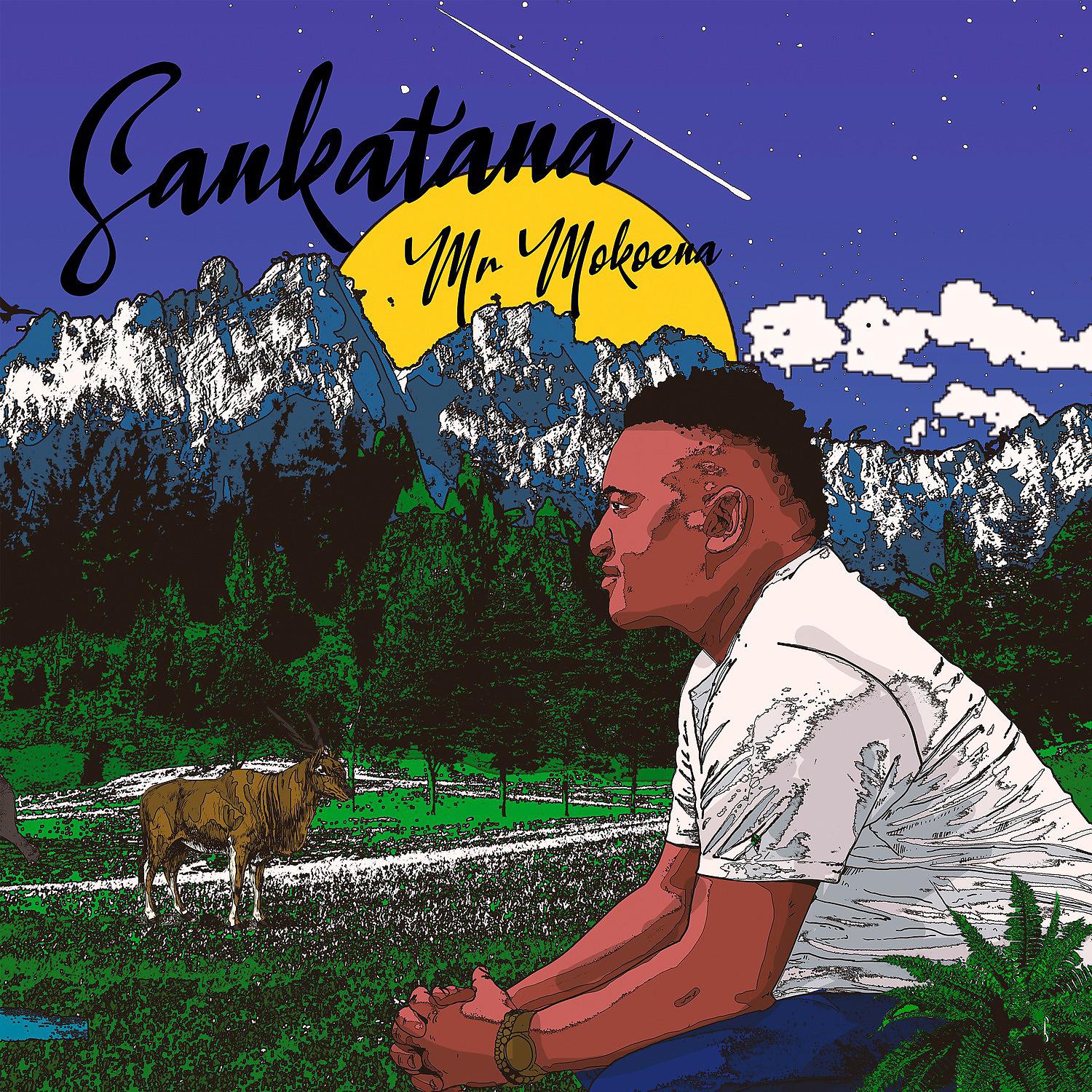 Постер альбома Sankatana