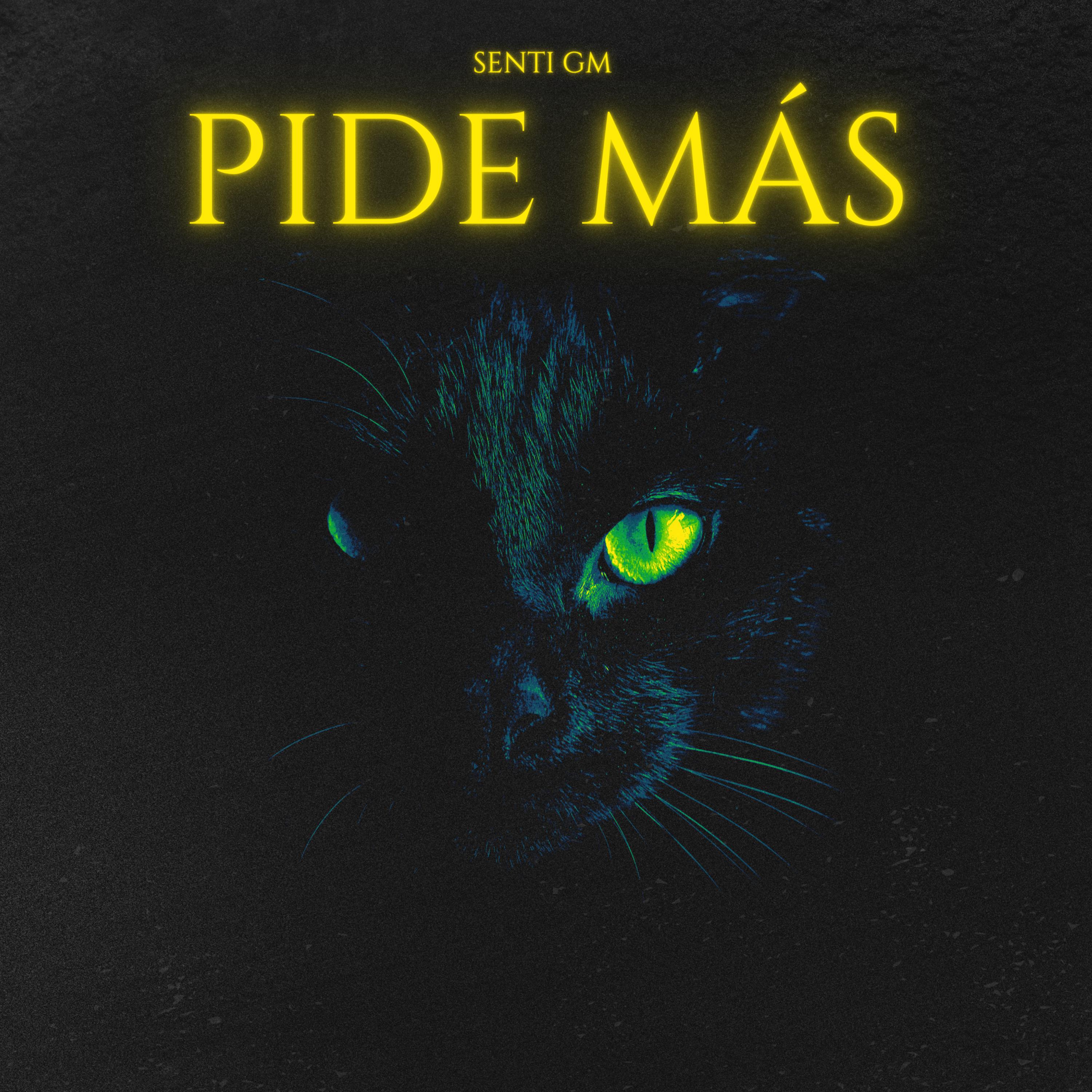 Постер альбома Pide Mas