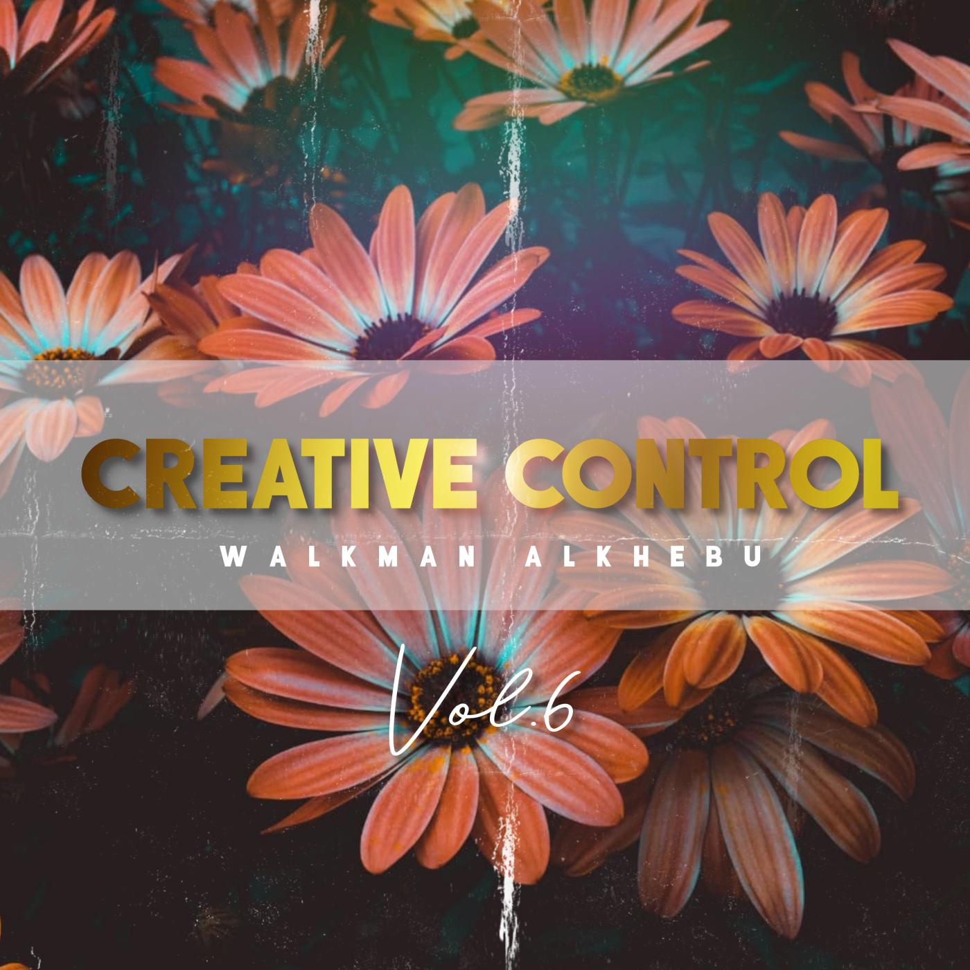 Постер альбома Creative Control (Vol. 6)