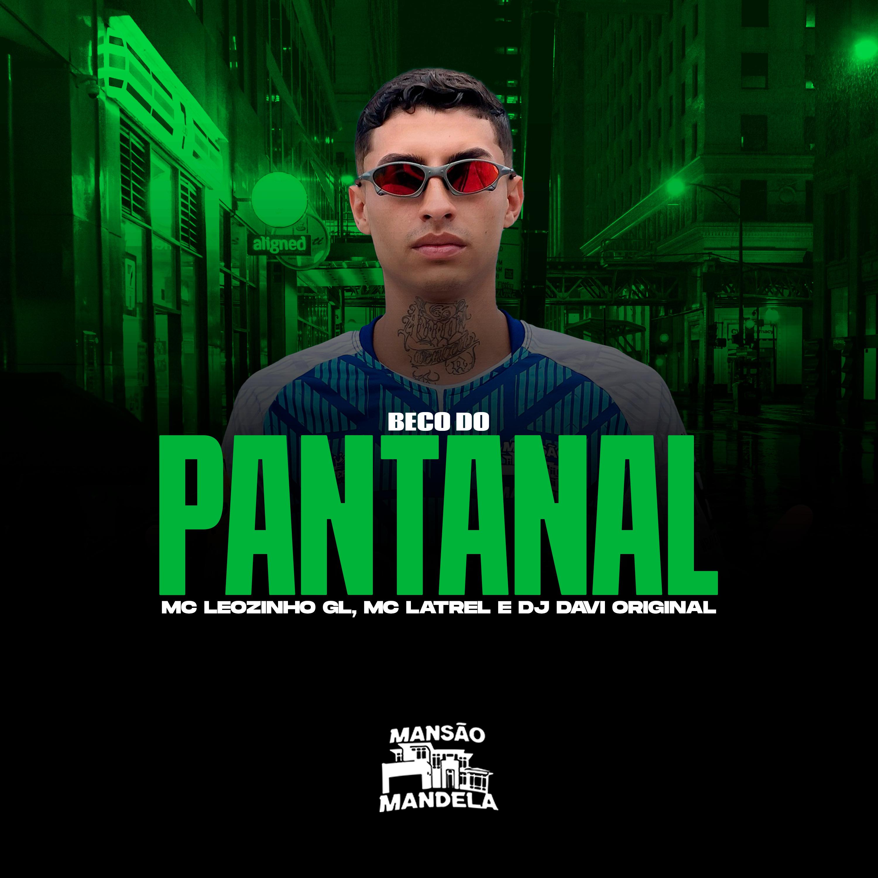 Постер альбома Beco do Pantanal