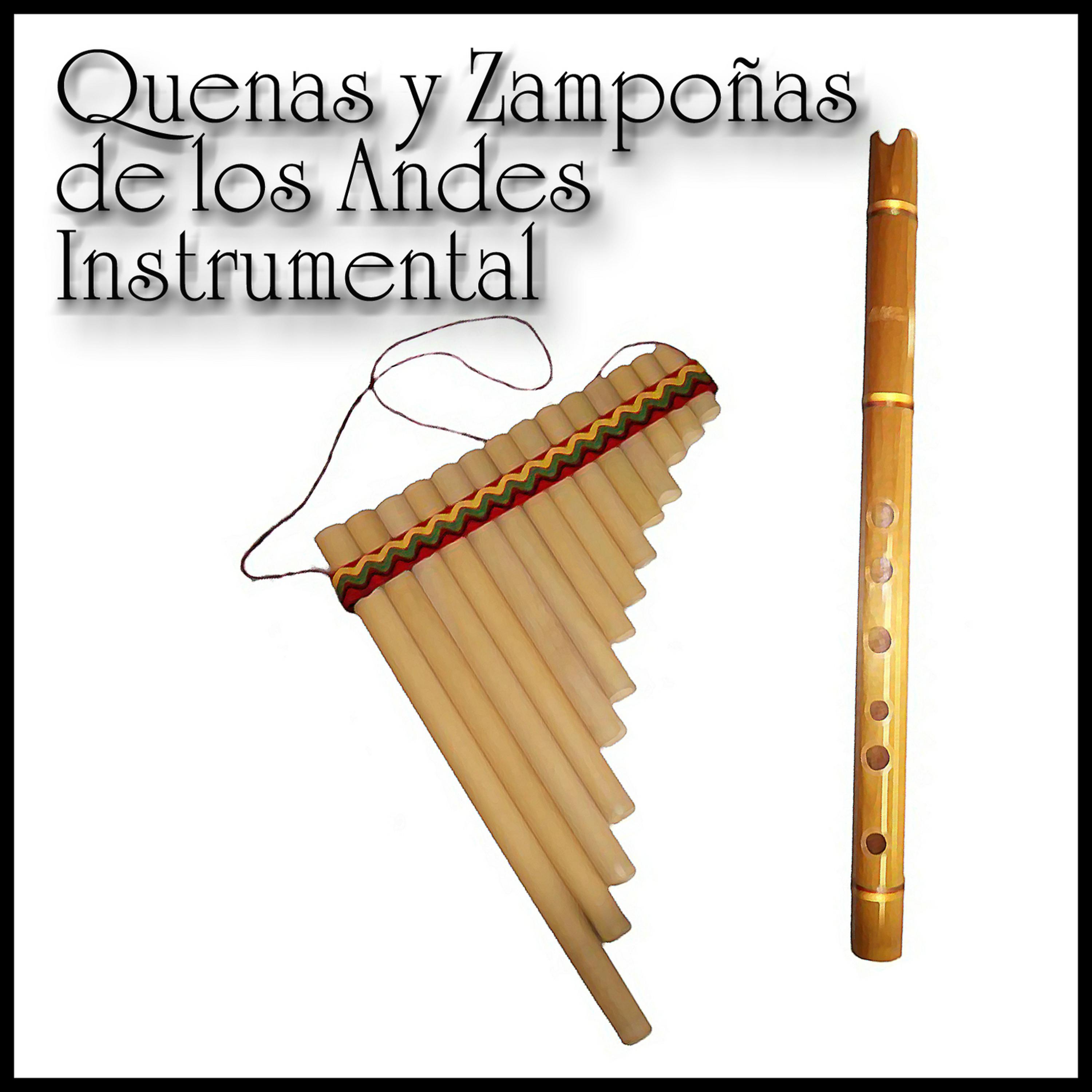 Постер альбома Quenas y Zampoñas de los Andes: Instrumental