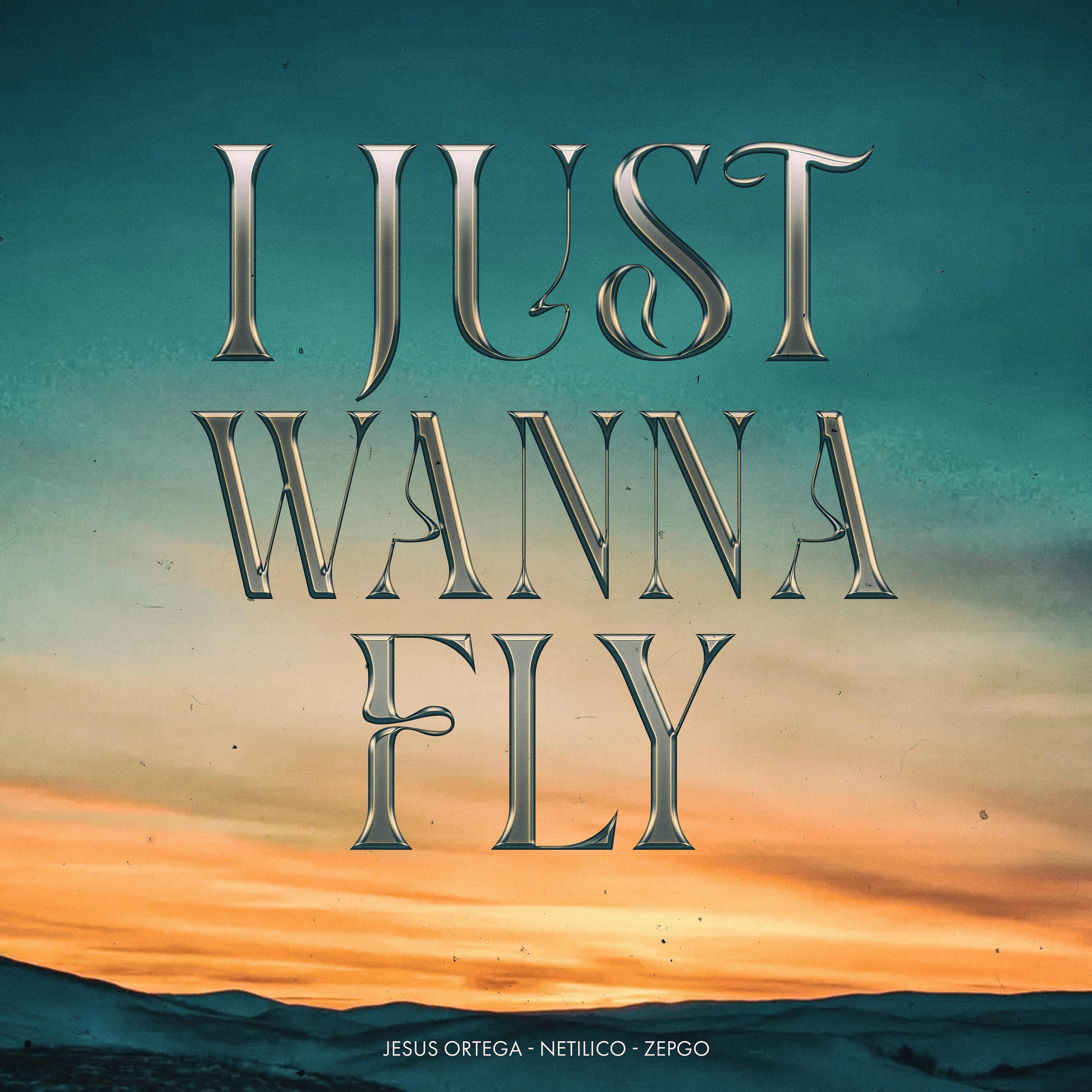 Постер альбома I Just Wanna Fly