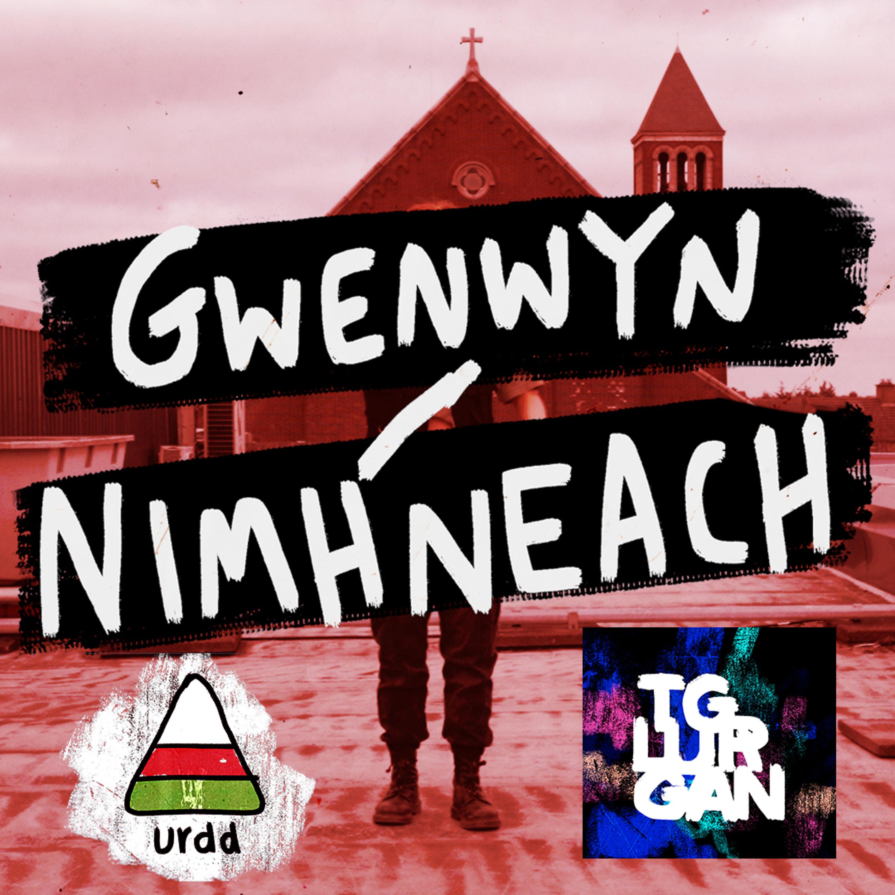 Постер альбома Gwenwyn / Nimhneach