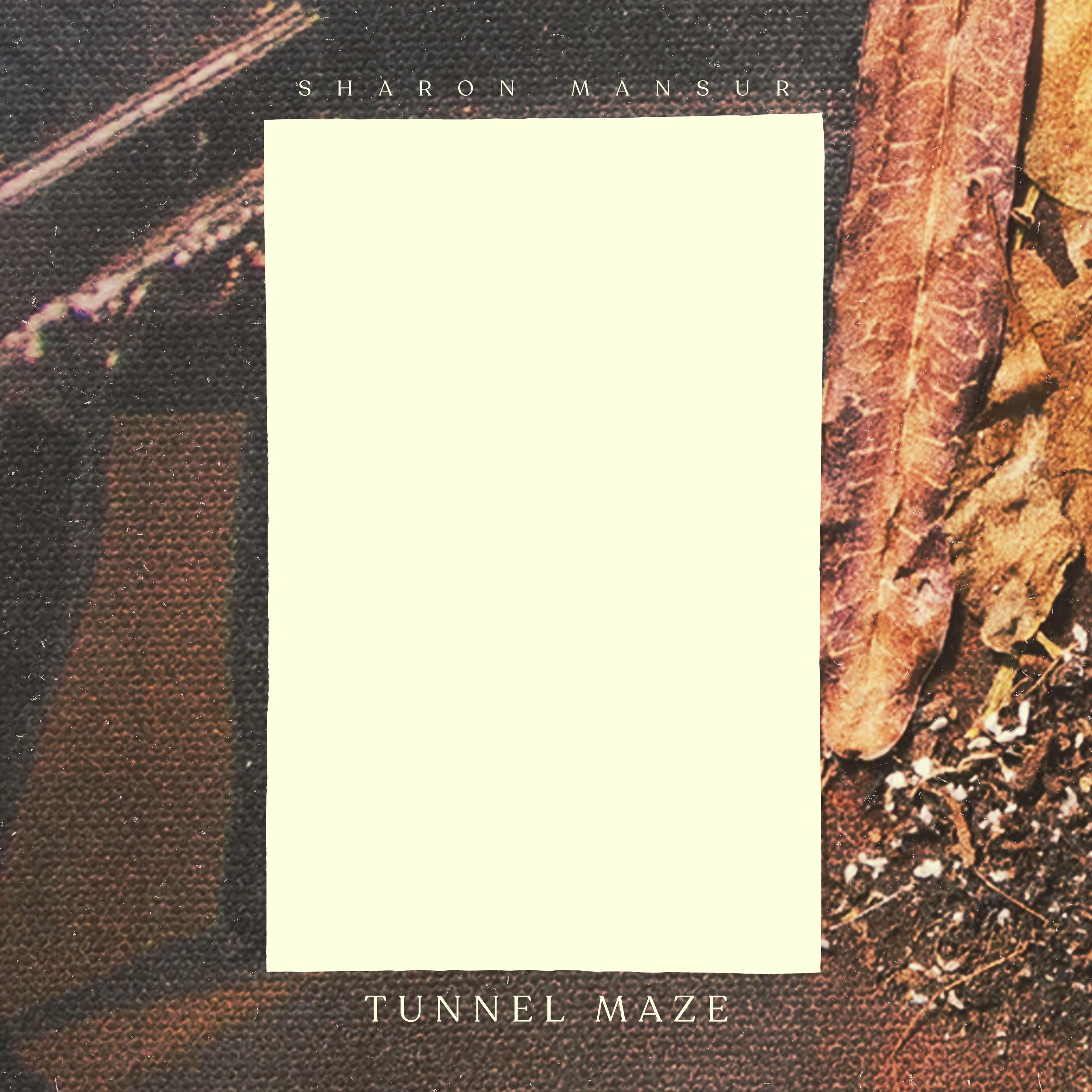 Постер альбома Tunnel Maze