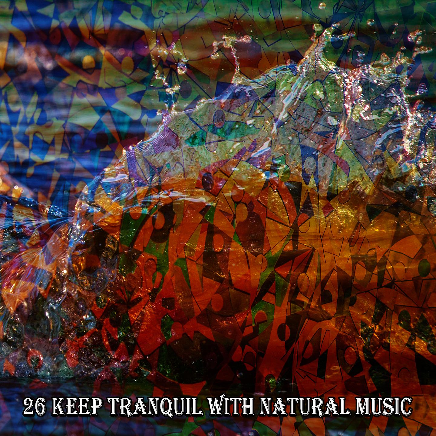 Постер альбома 26 Сохраняйте спокойствие с естественной музыкой