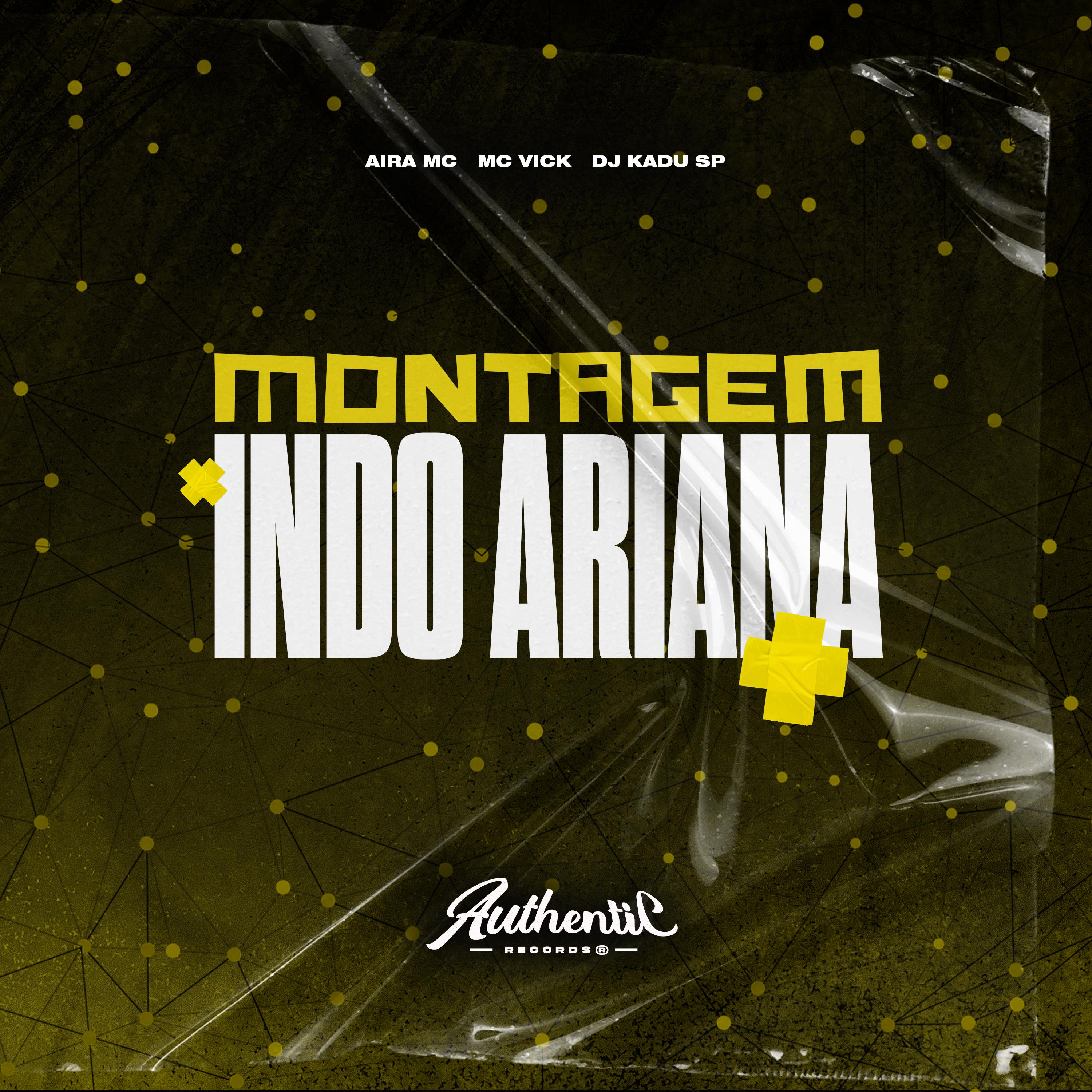 Постер альбома Montagem Indo Ariana