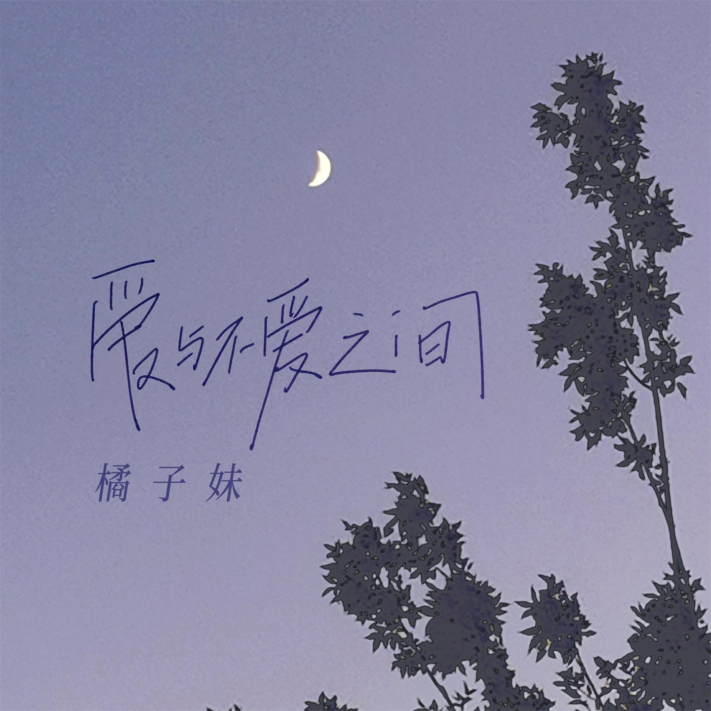 Постер альбома 爱与不爱之间