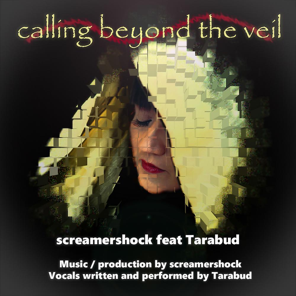 Постер альбома Calling Beyond The Veil