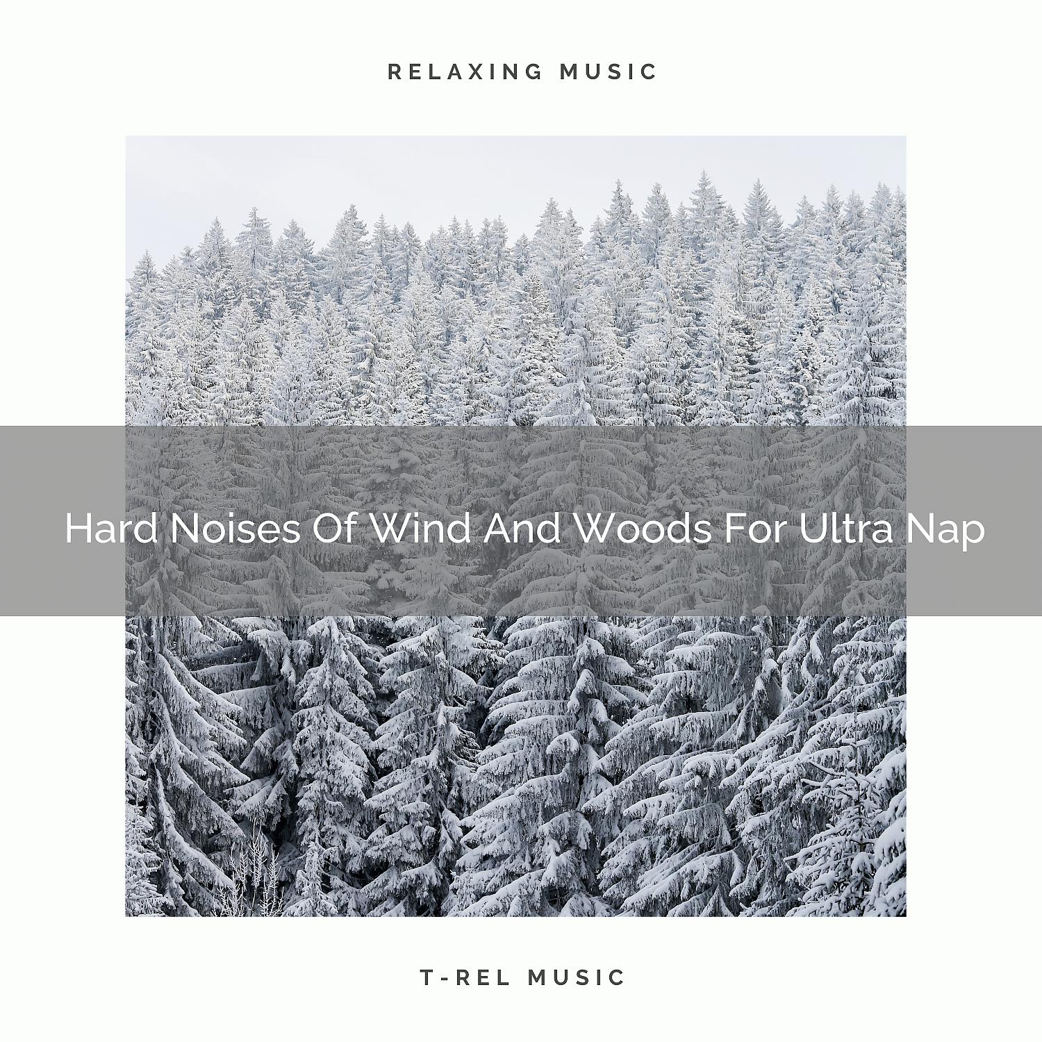 Постер альбома Hard Noises Of Wind And Woods For Ultra Nap
