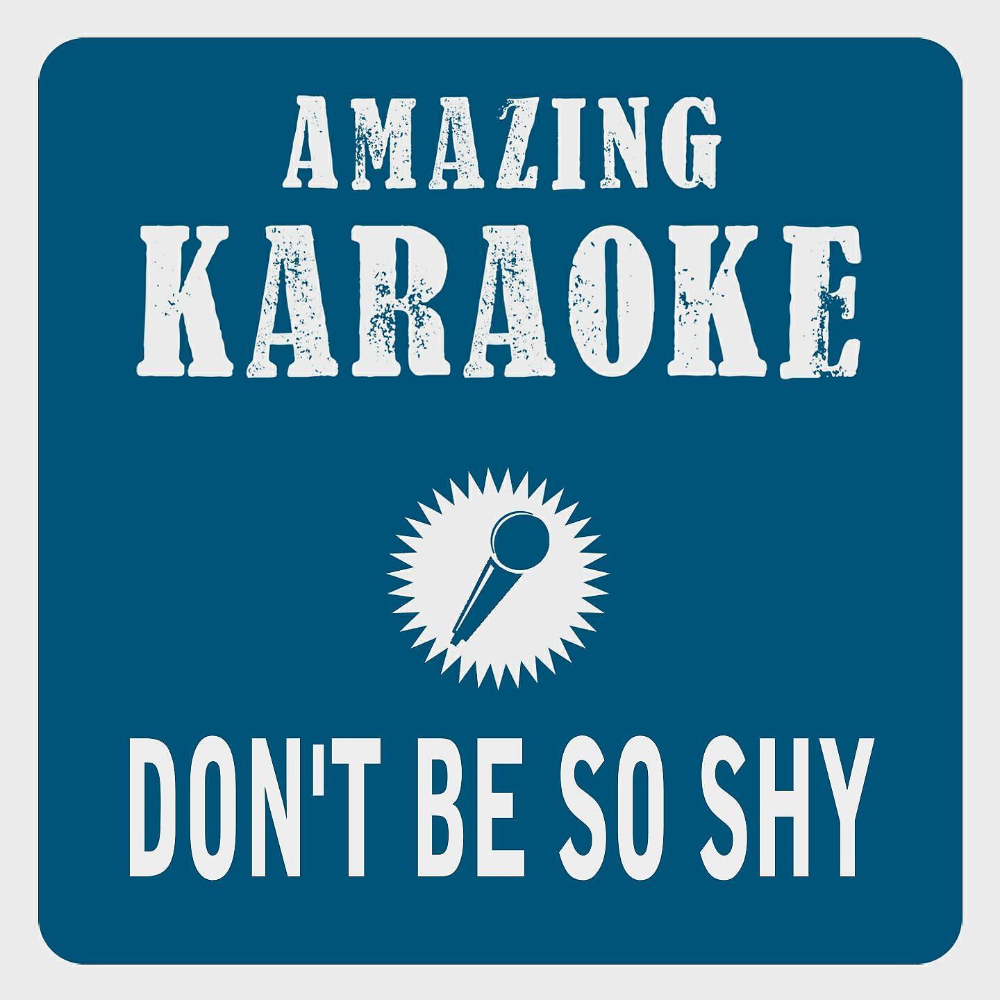 Постер альбома Don't Be so Shy (Remix Edit) [Karaoke Version]