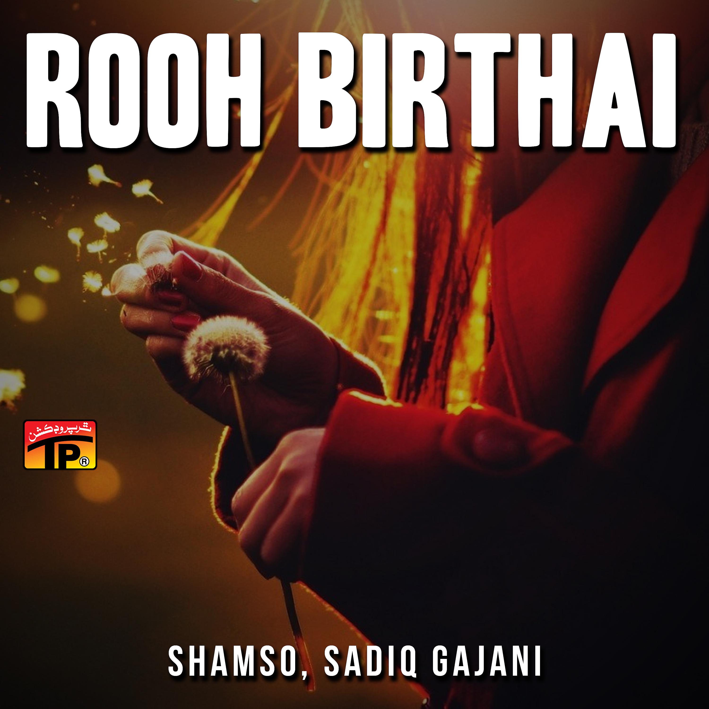 Постер альбома Rooh Birthai