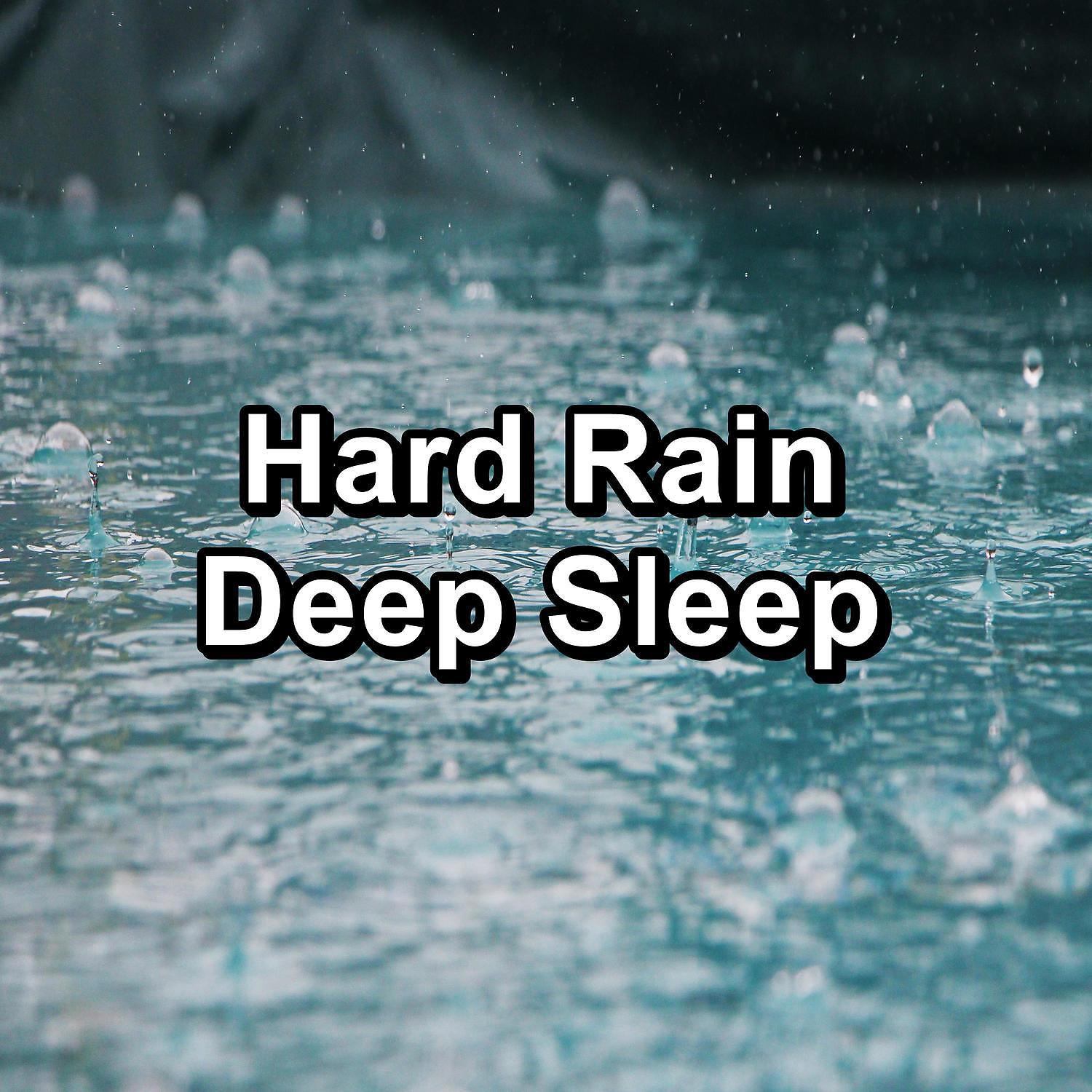 Постер альбома Hard Rain Deep Sleep