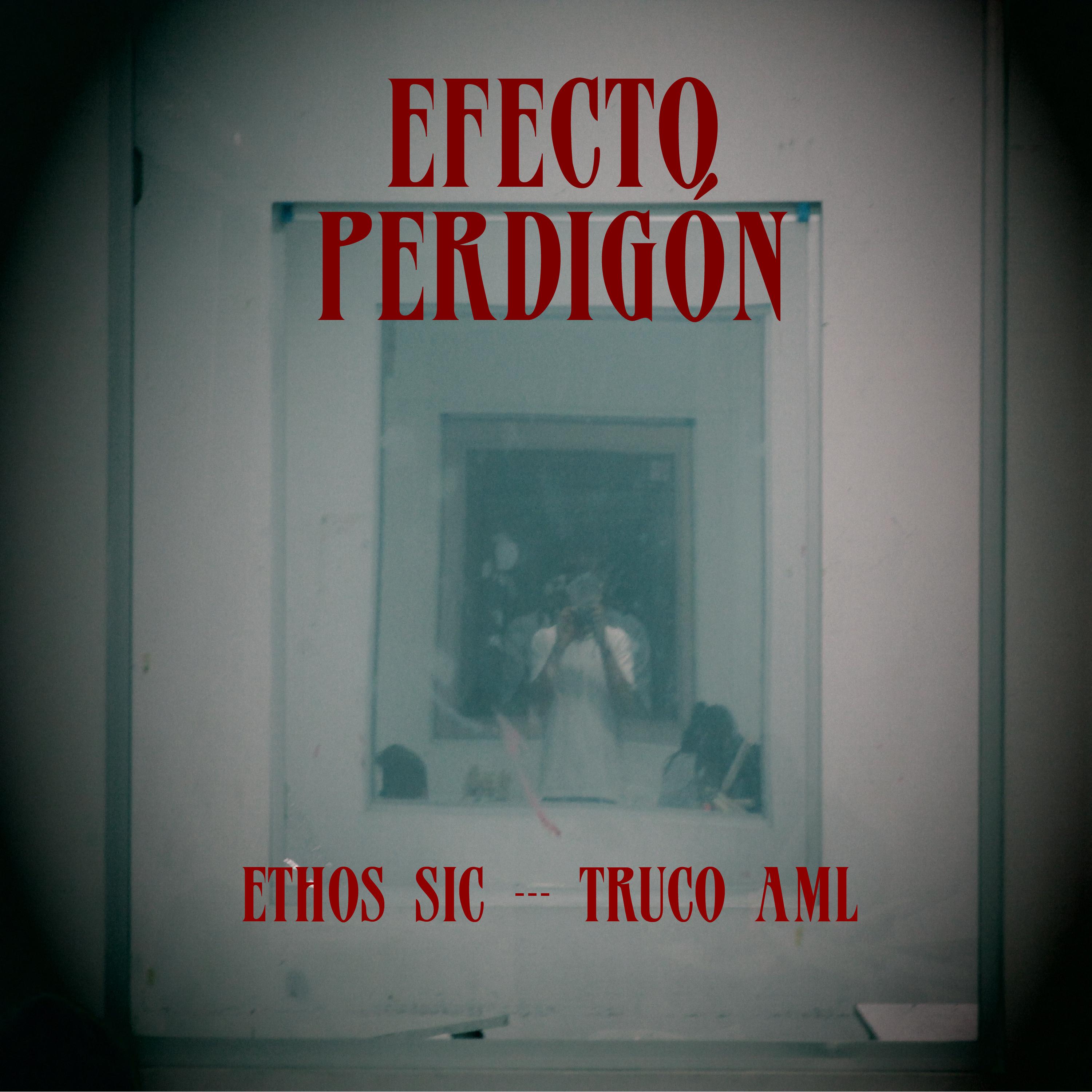 Постер альбома Efecto Perdigón