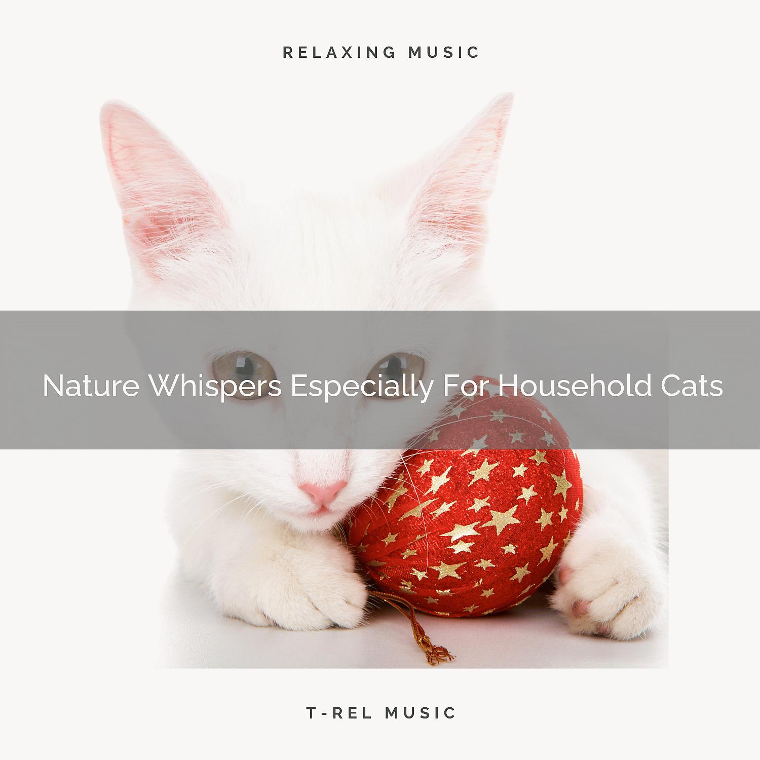 Постер альбома Nature Whispers Especially For Household Cats