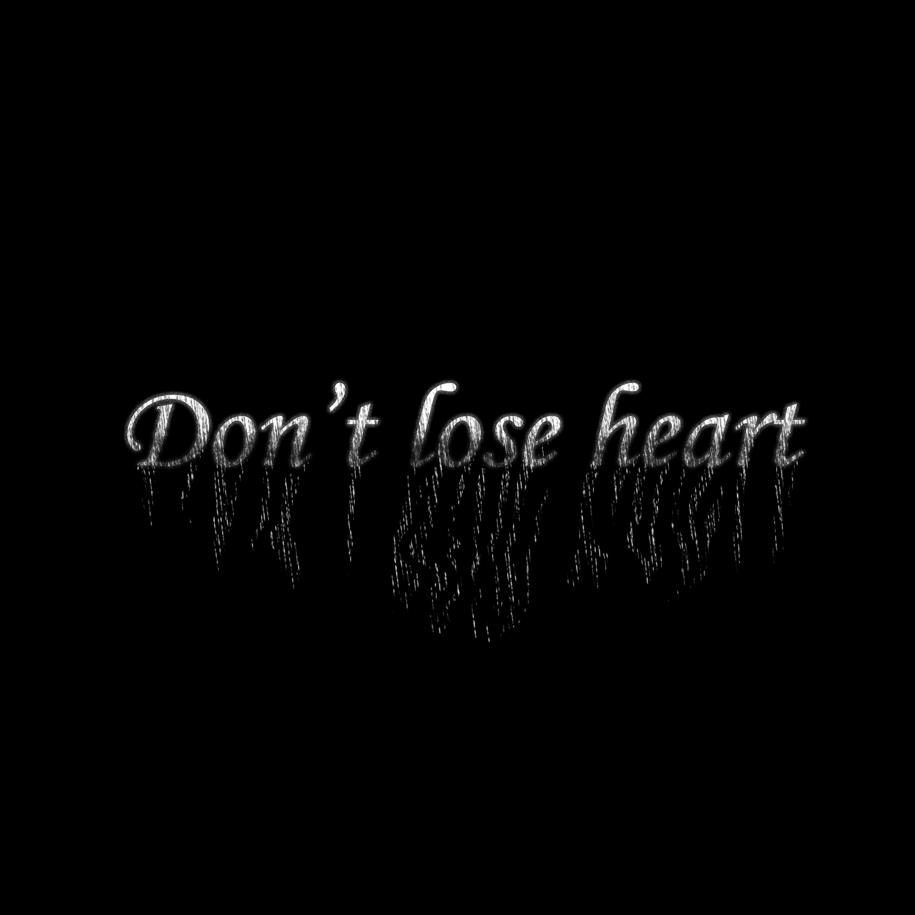 Постер альбома Don't Lose Heart