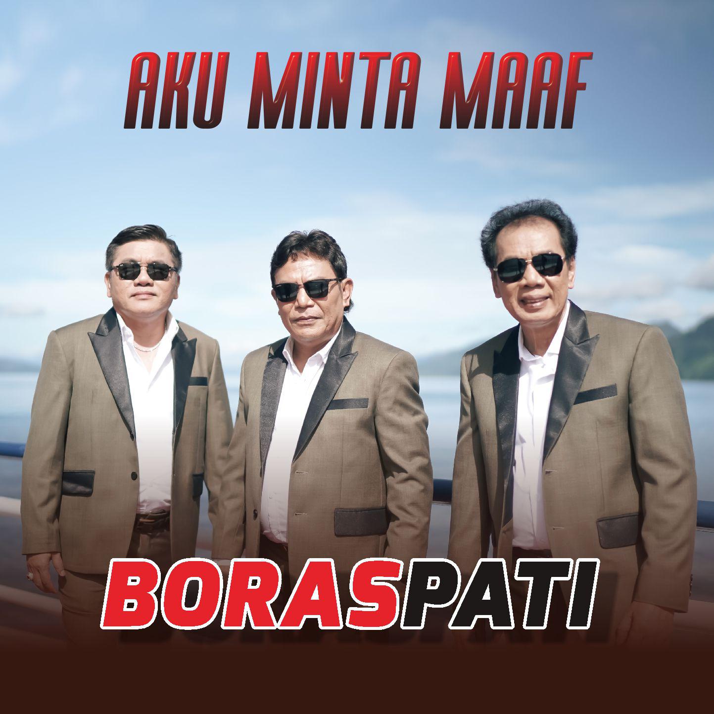 Постер альбома Aku Minta Maaf